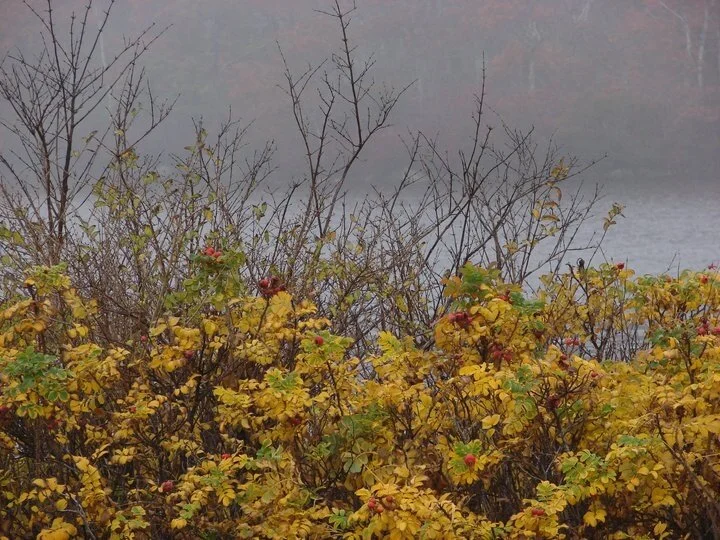 iphone, 2010-2013 251.JPG