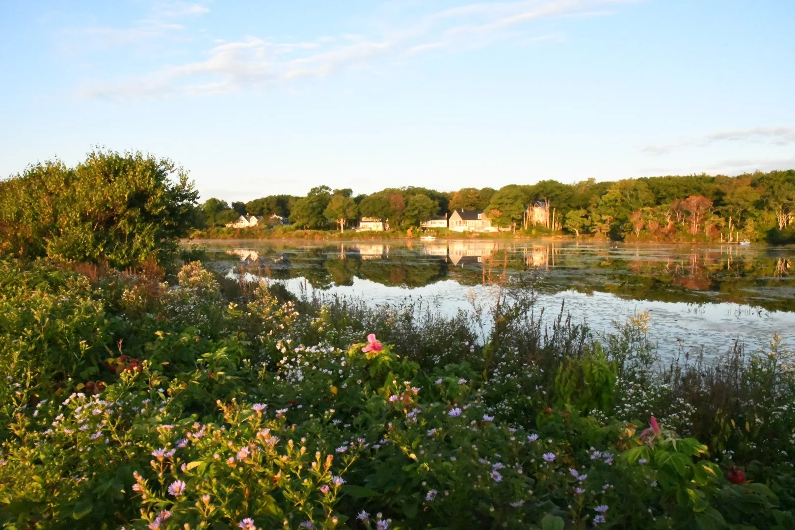 September at the Pond