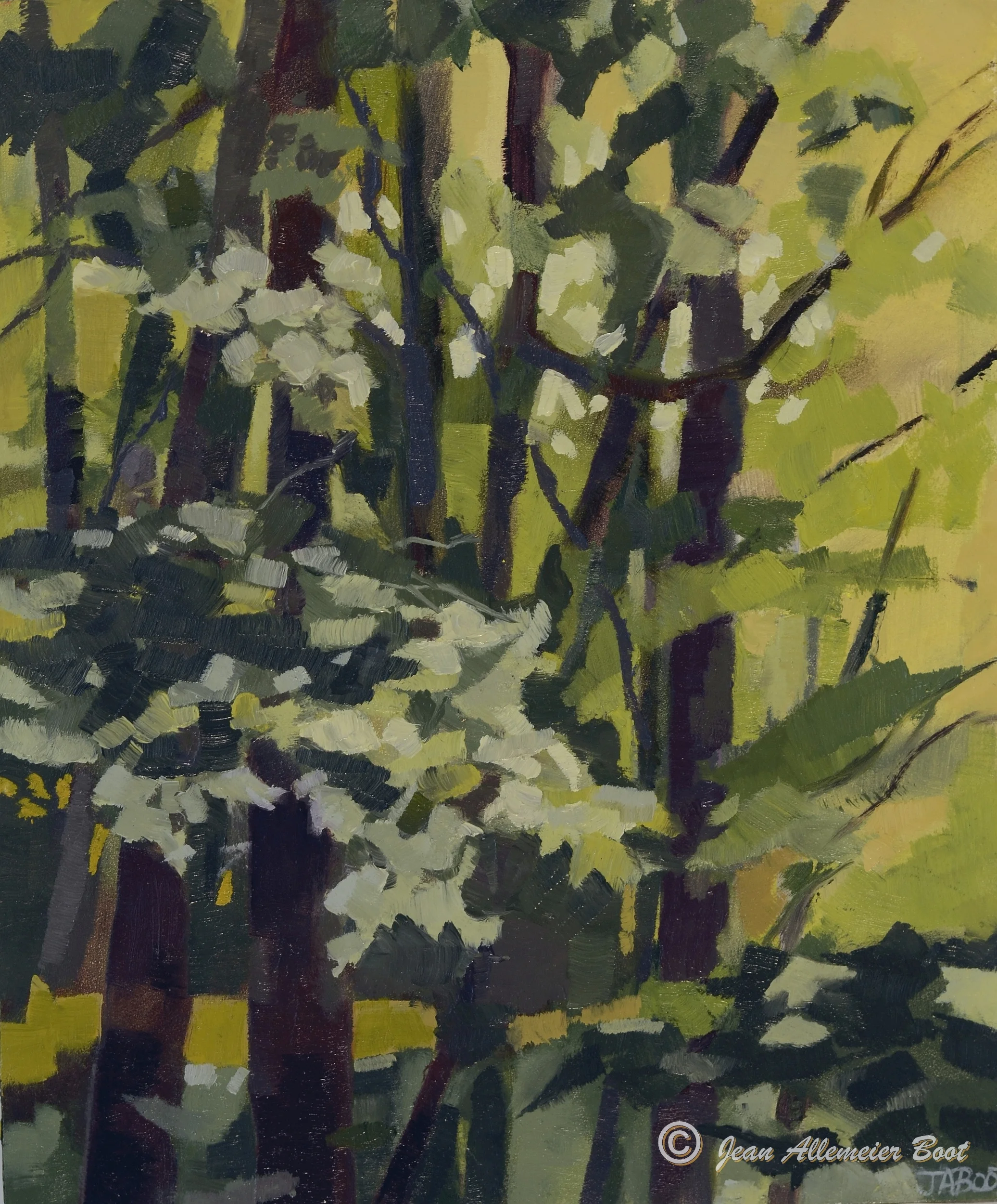 Spring Maples