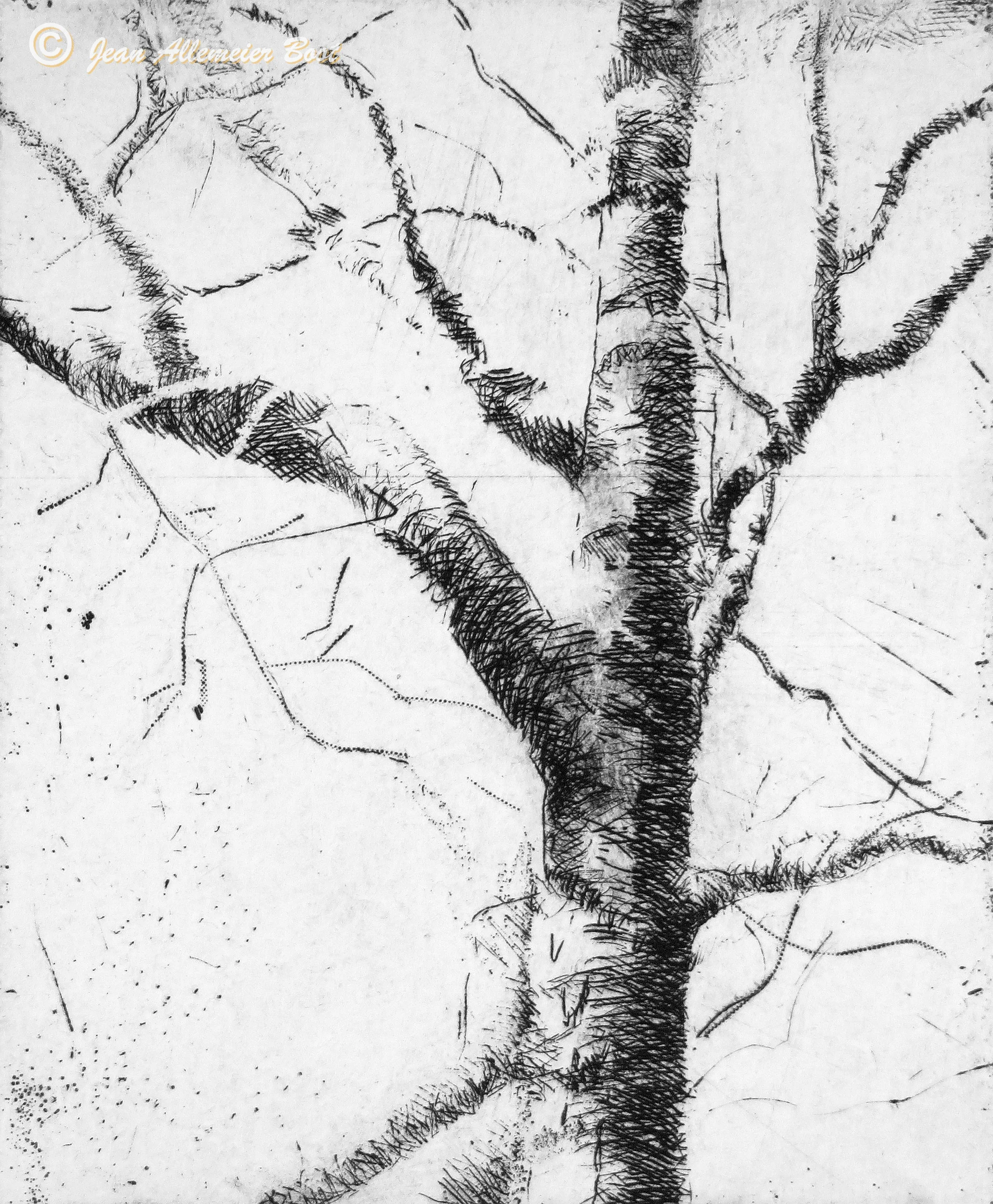 Woodland Poem XI