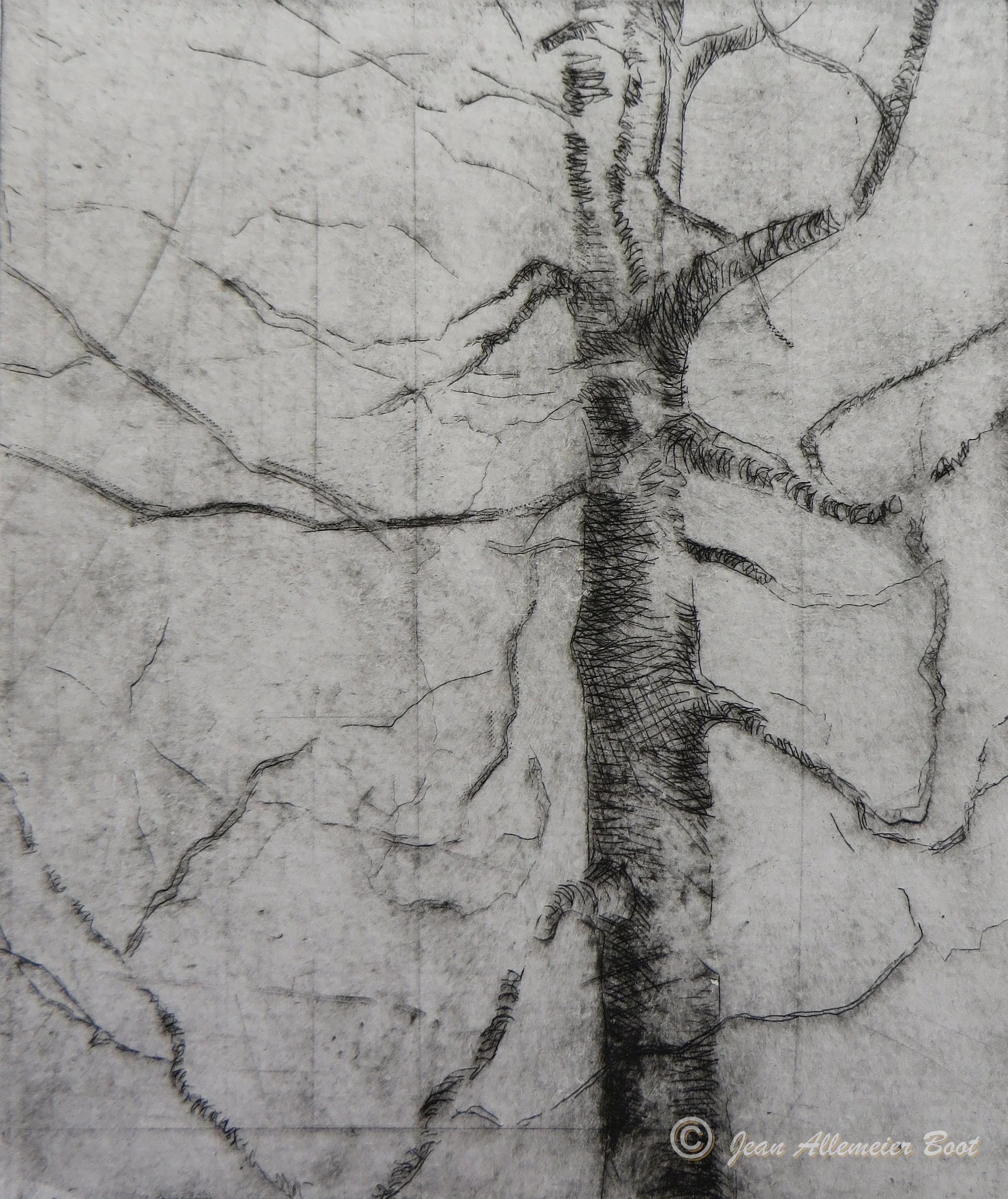 Woodland Poem III