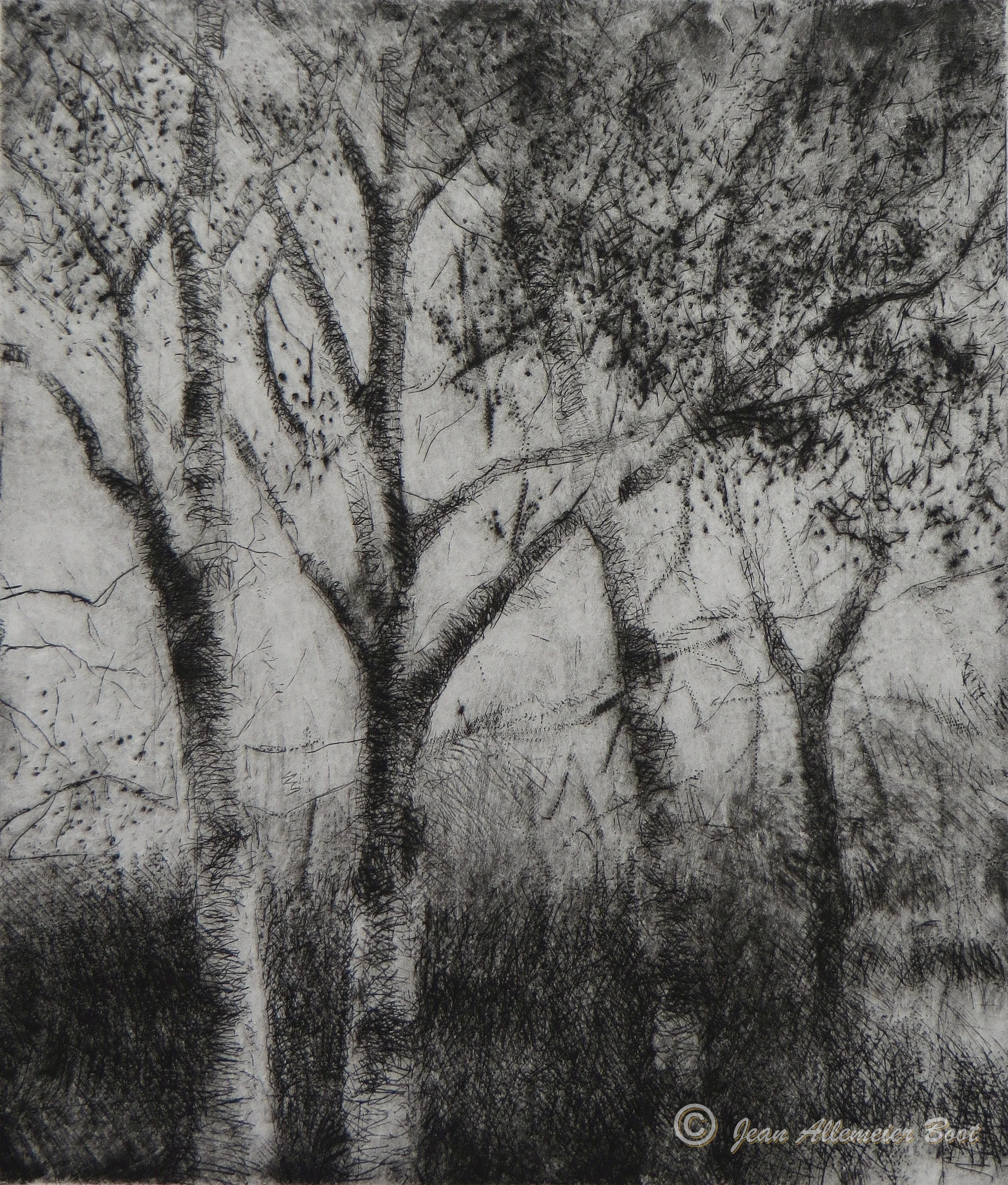 Woodland Poem IV