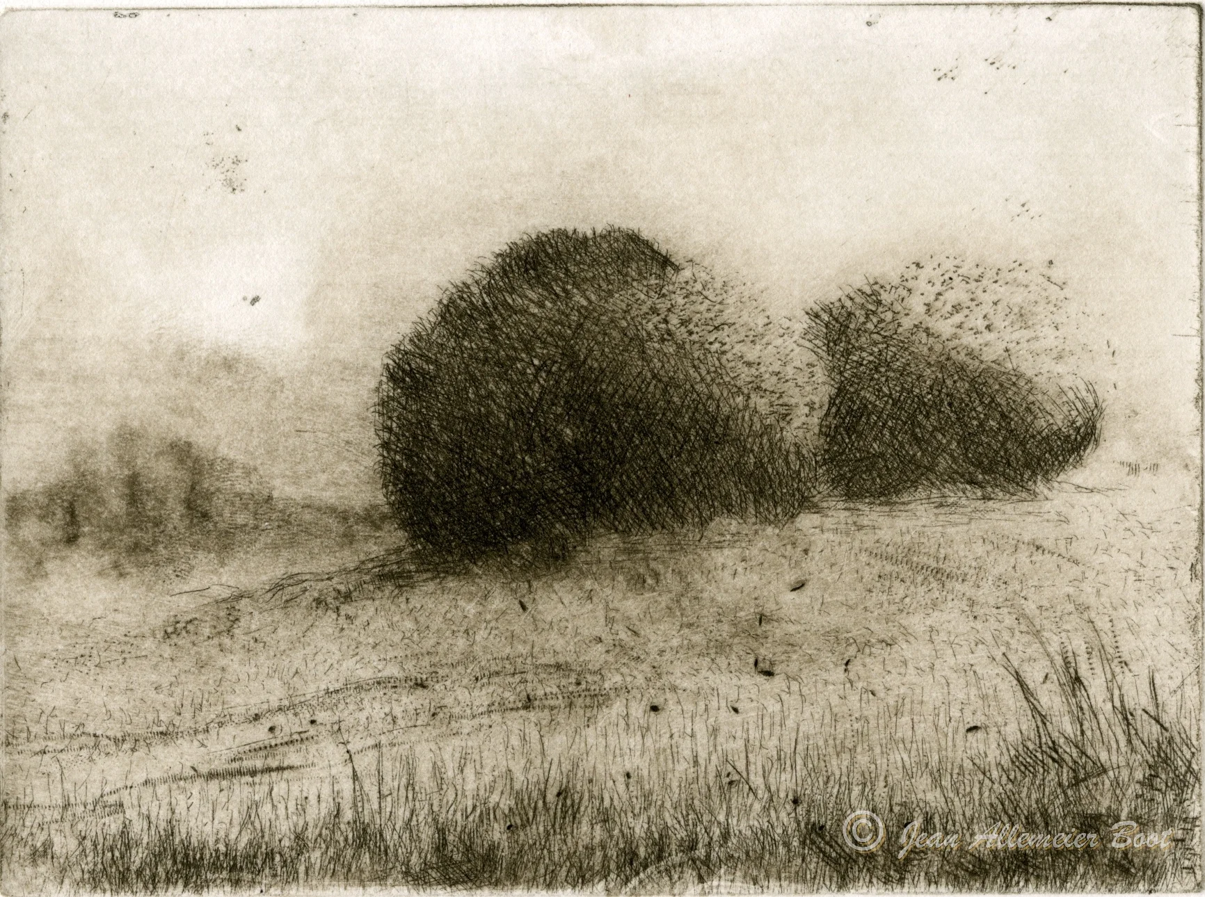 Summer Solitude Study