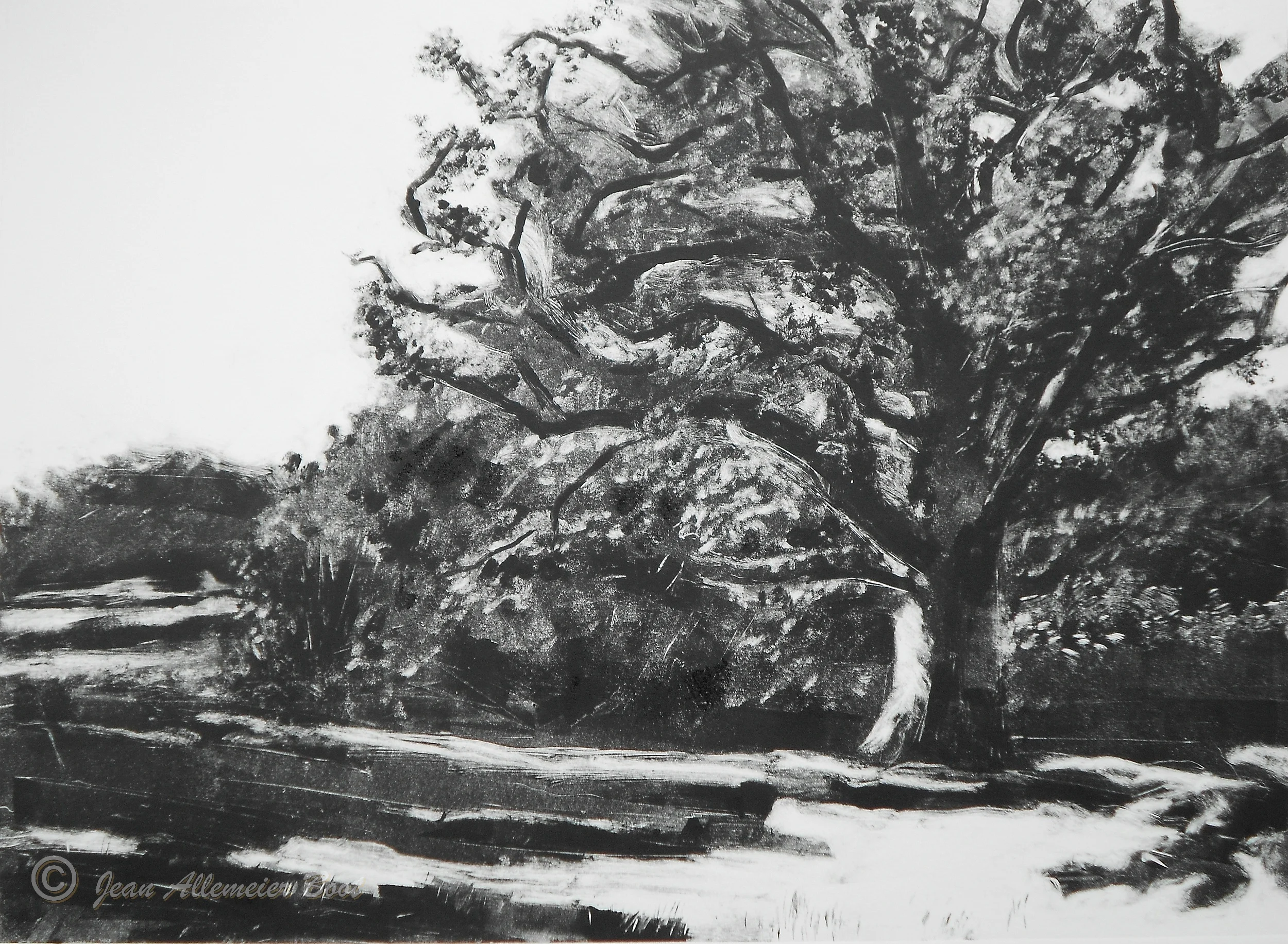 Castle Grounds