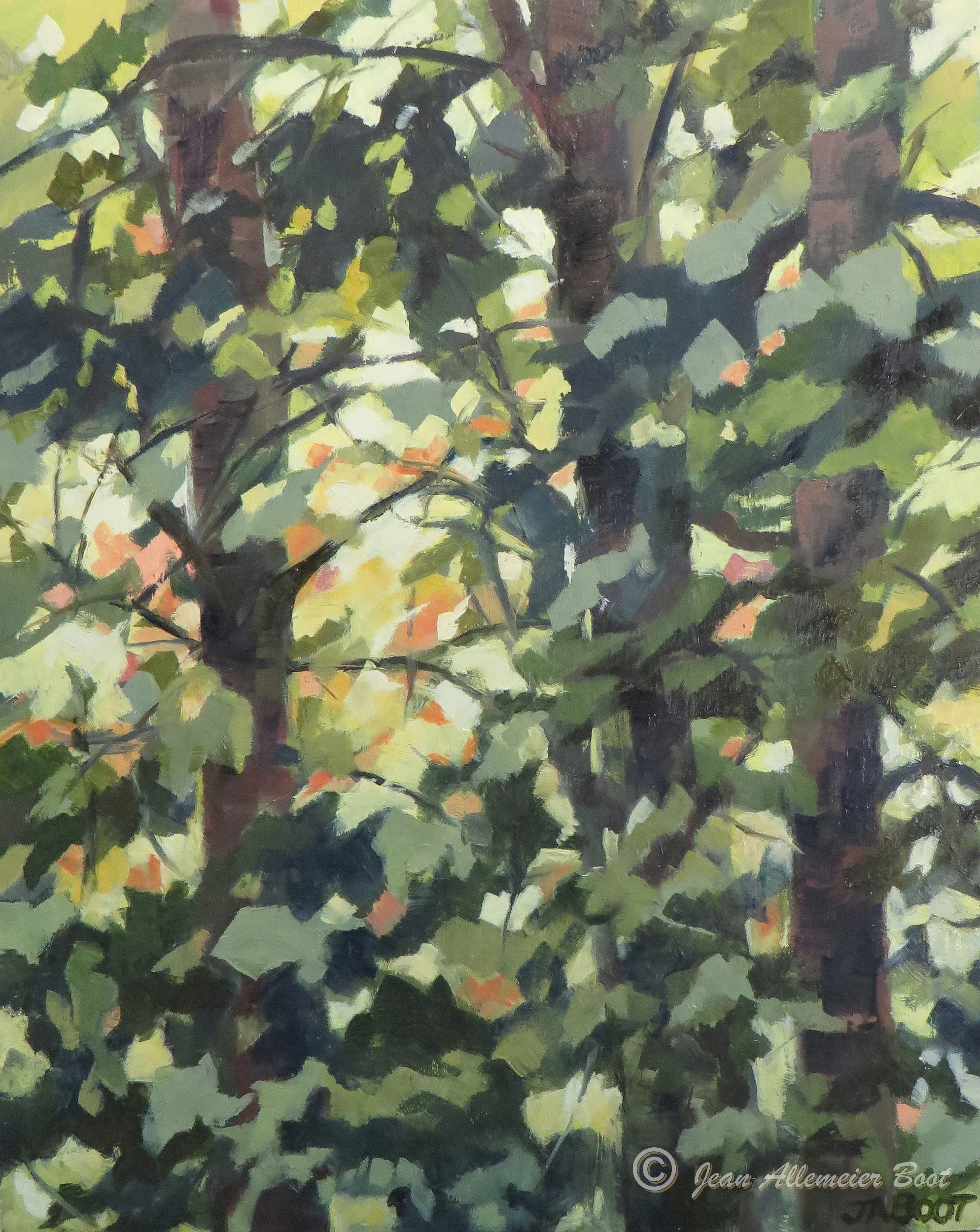 Wood's Edge II