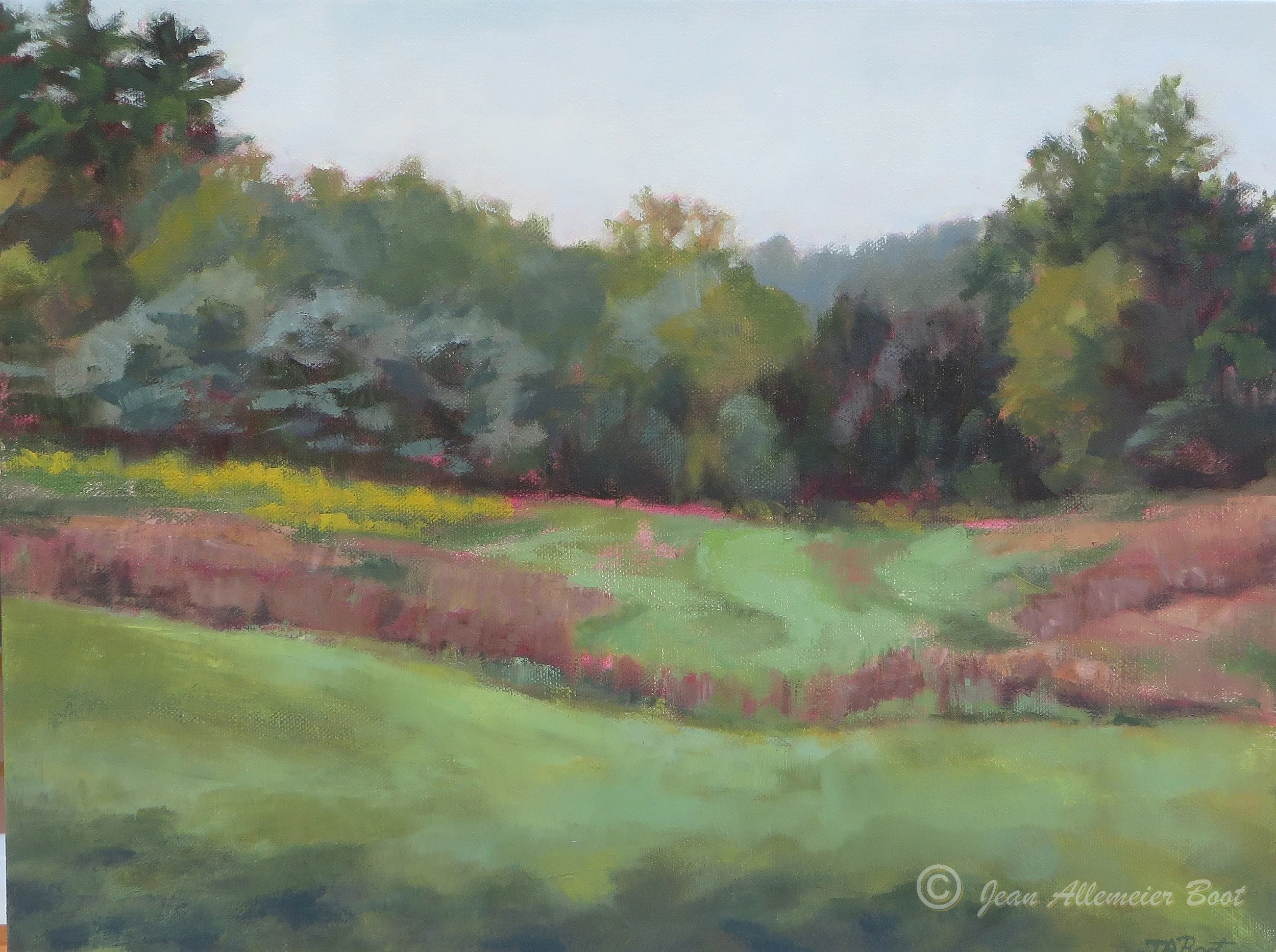 Early Autumn Field