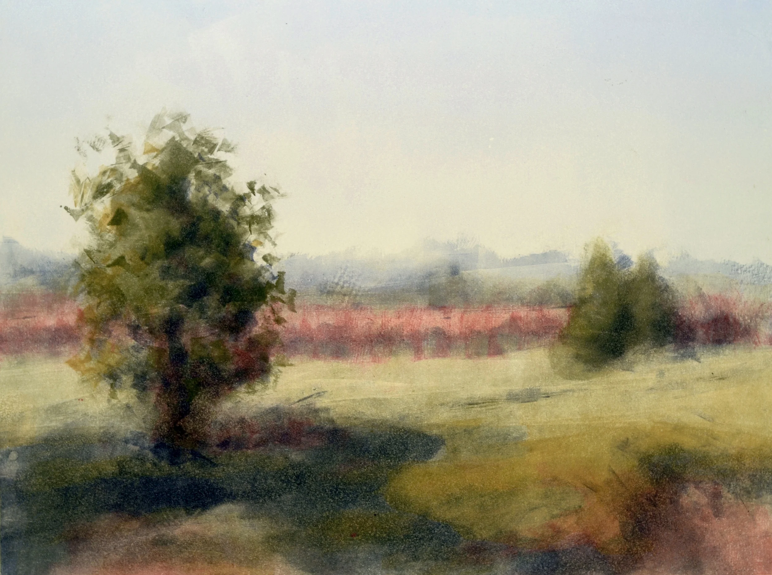 Michigan Landscape VI