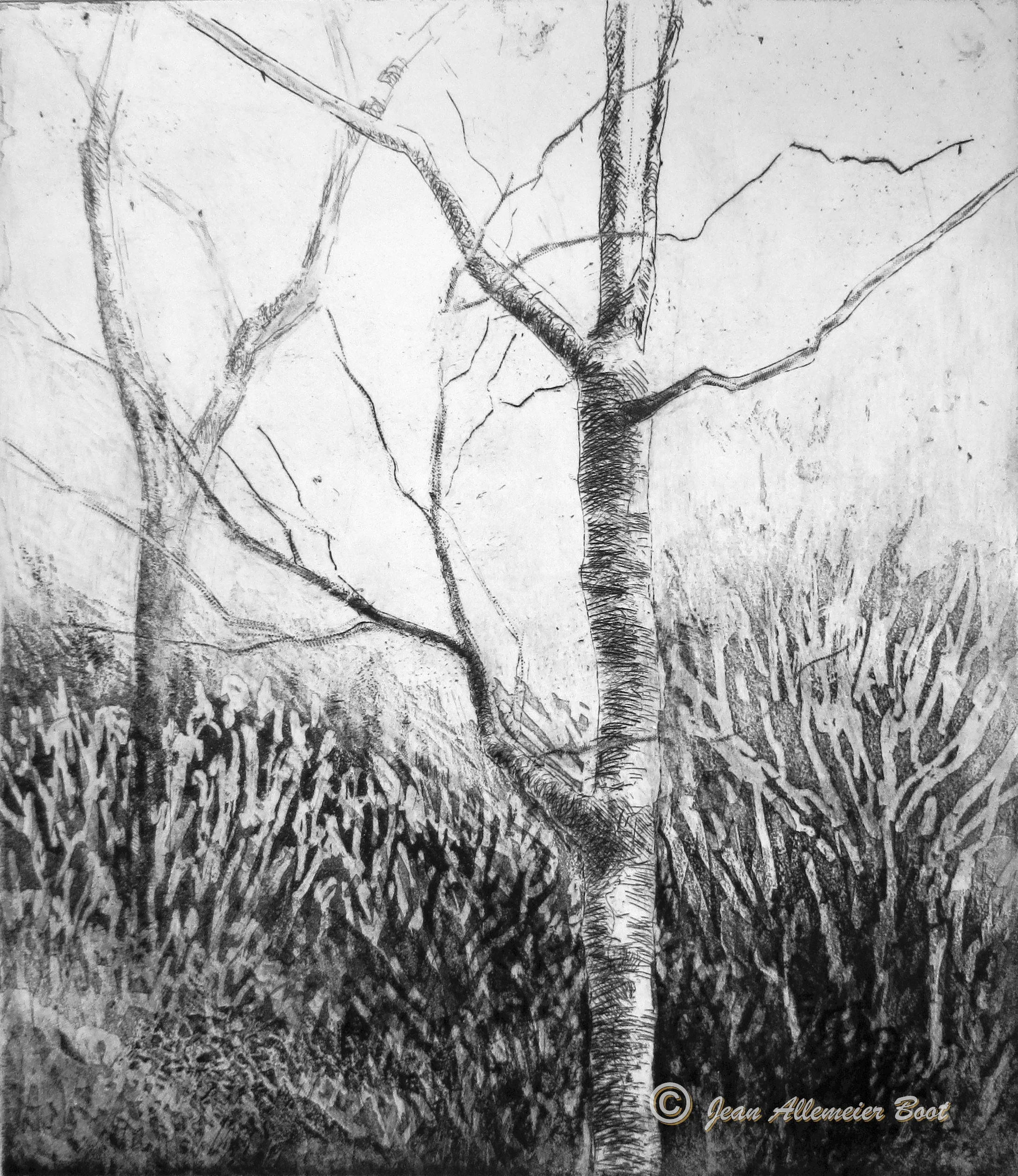 Woodland Poem XVII