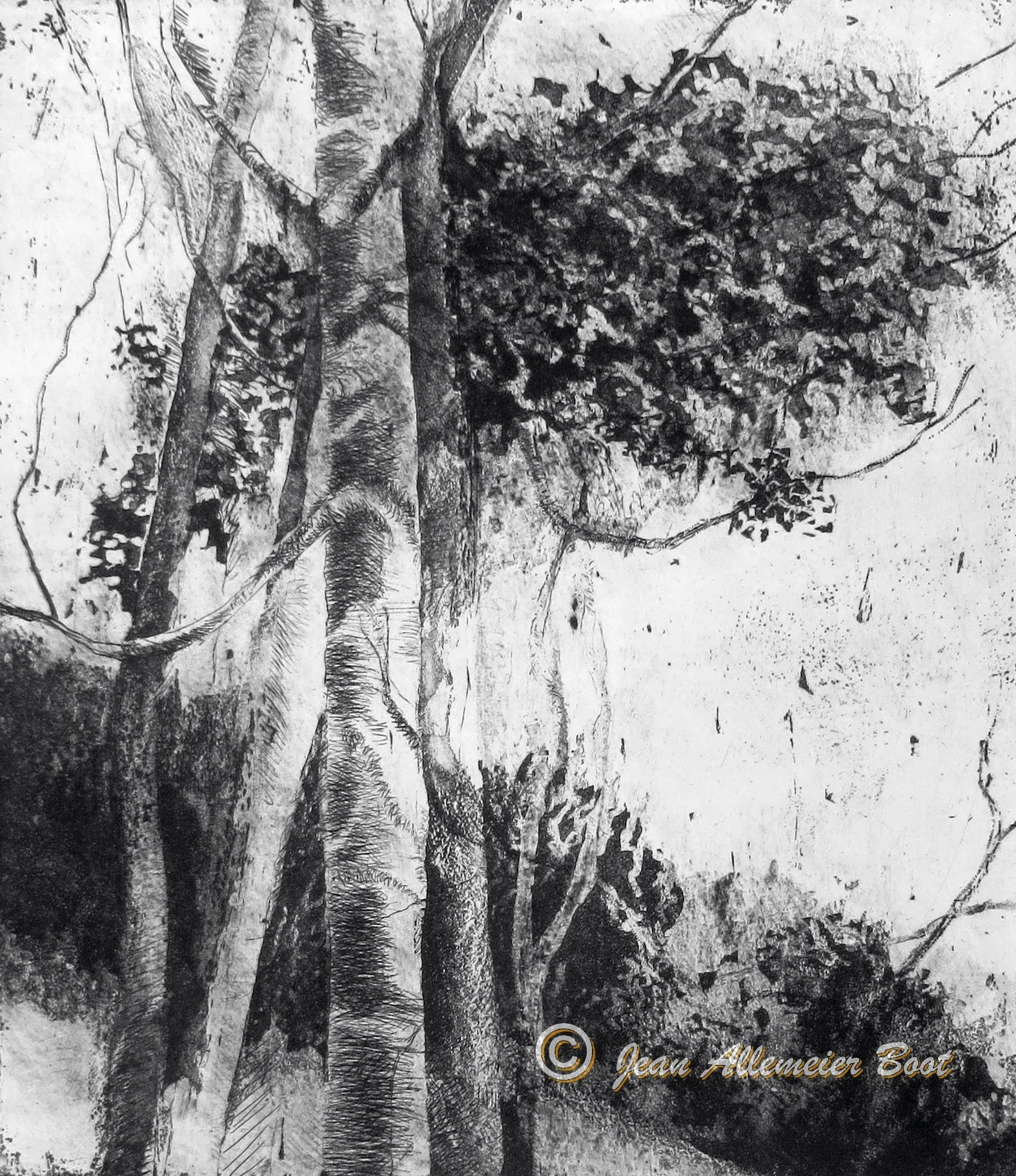Woodland Poem XV