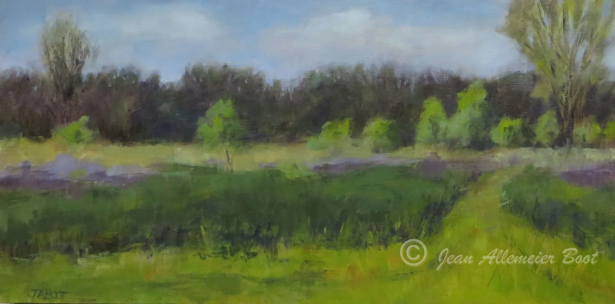 Roselle Park, Early June II