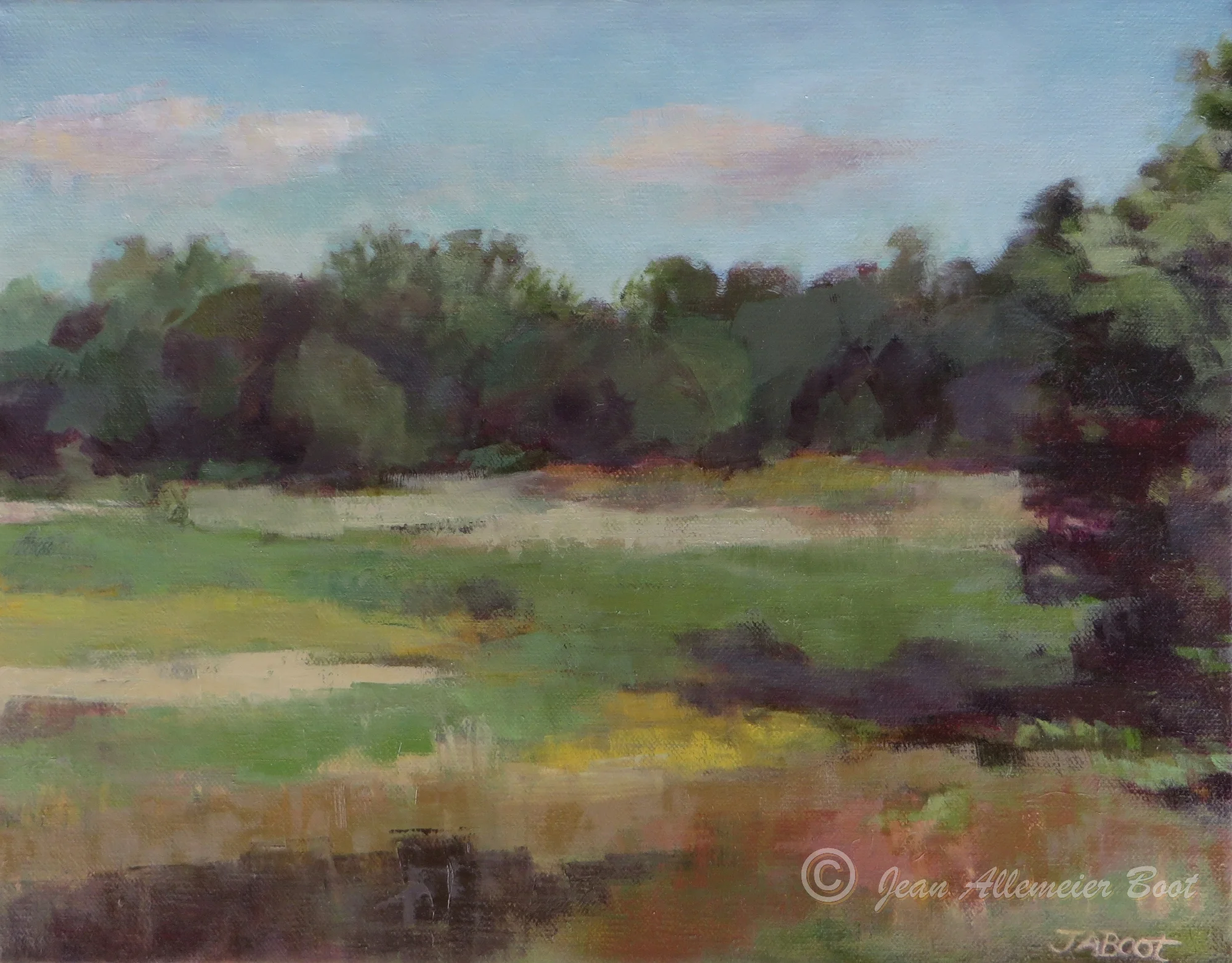 Roselle Park Wetlands I