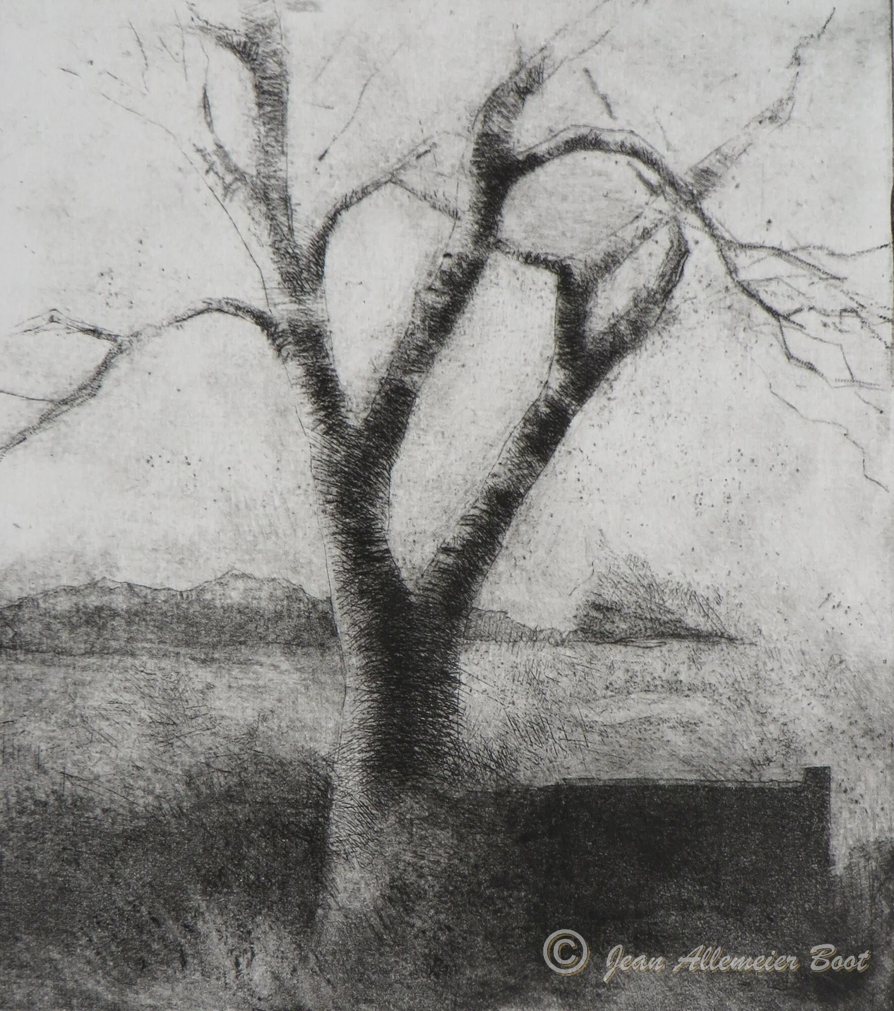 Towards Rectory Park II