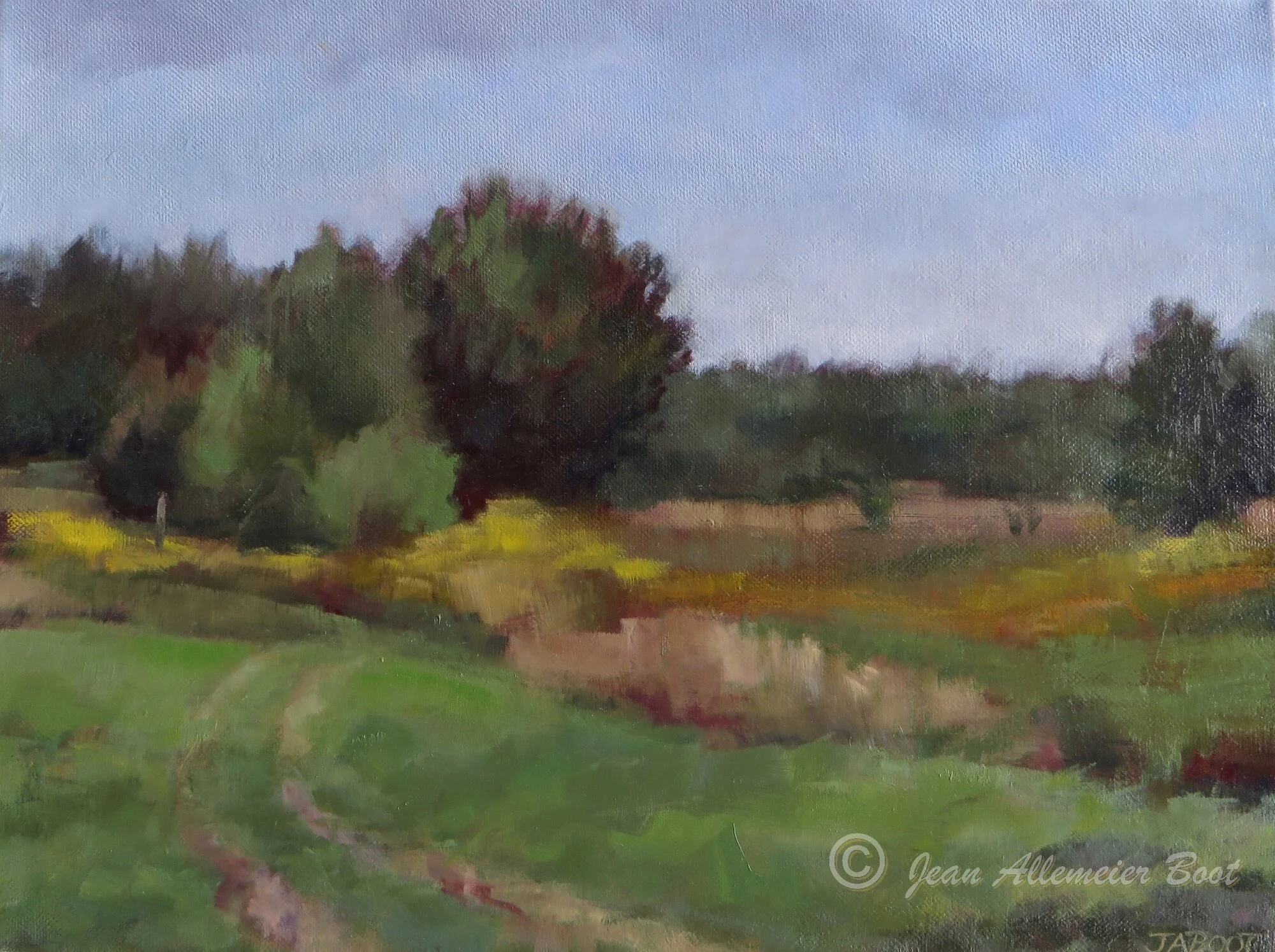 Roselle Park near Sunset II_LG.jpg