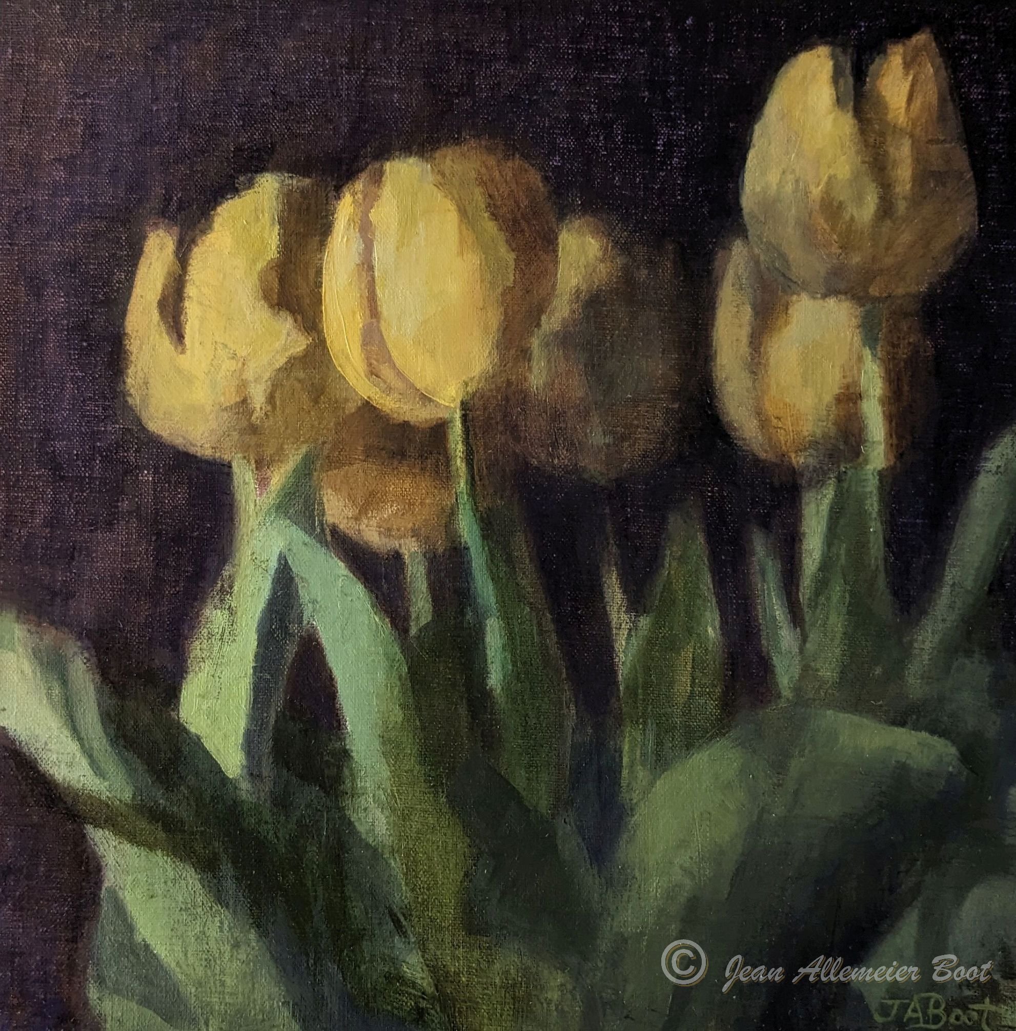 Spring Tulips