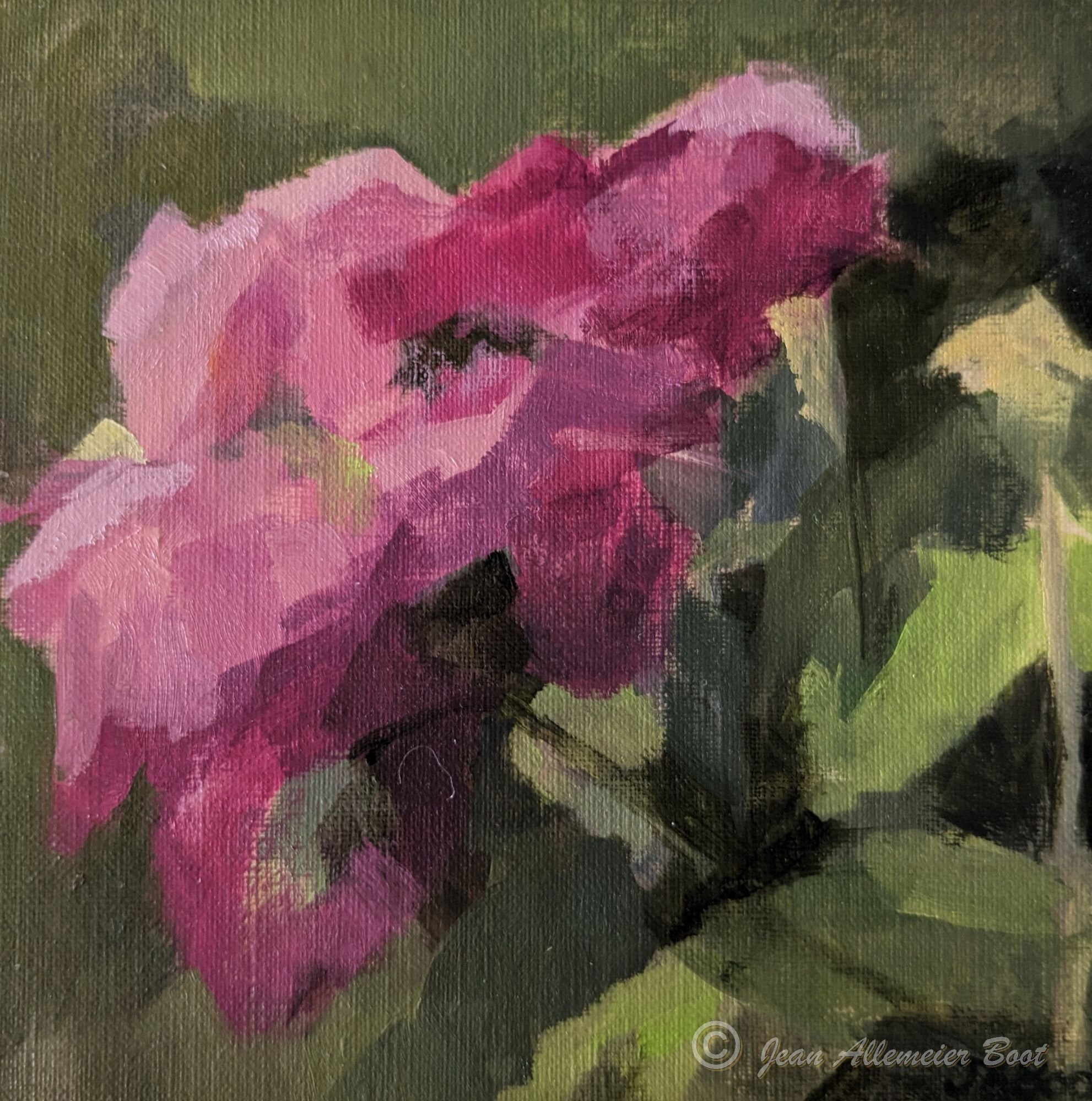 Roses I