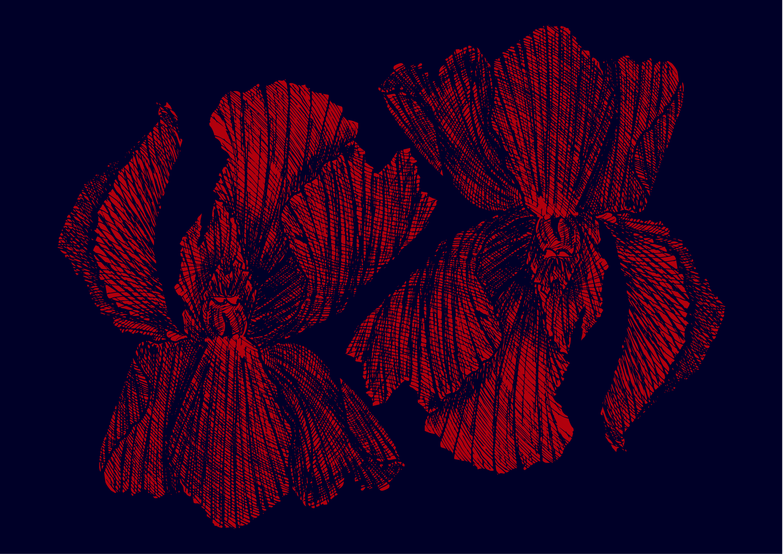 orquidea roja-01 2.png