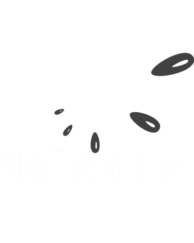 melonfx_logo.png