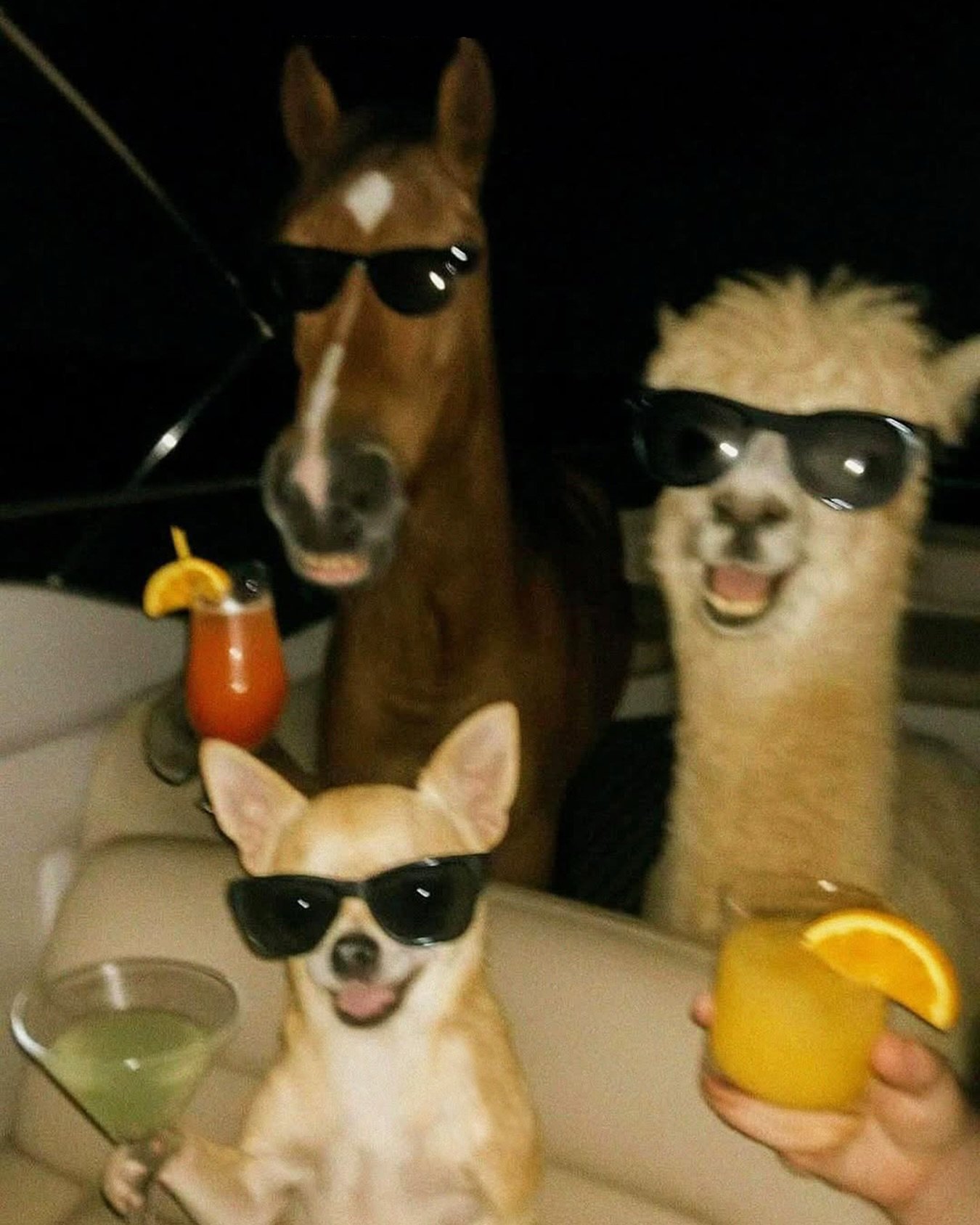 We&rsquo;re party animals this week! We&rsquo;ll be CLOSED

&bull; Monday - for our annual staff party
&bull; Tuesday - for a private party (delivery available)

Back to regular business Wednesday.