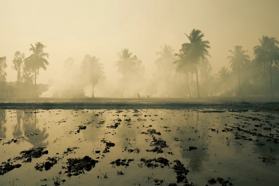 smoke over rice terrace