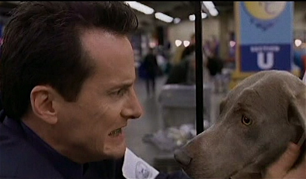 Best in Show