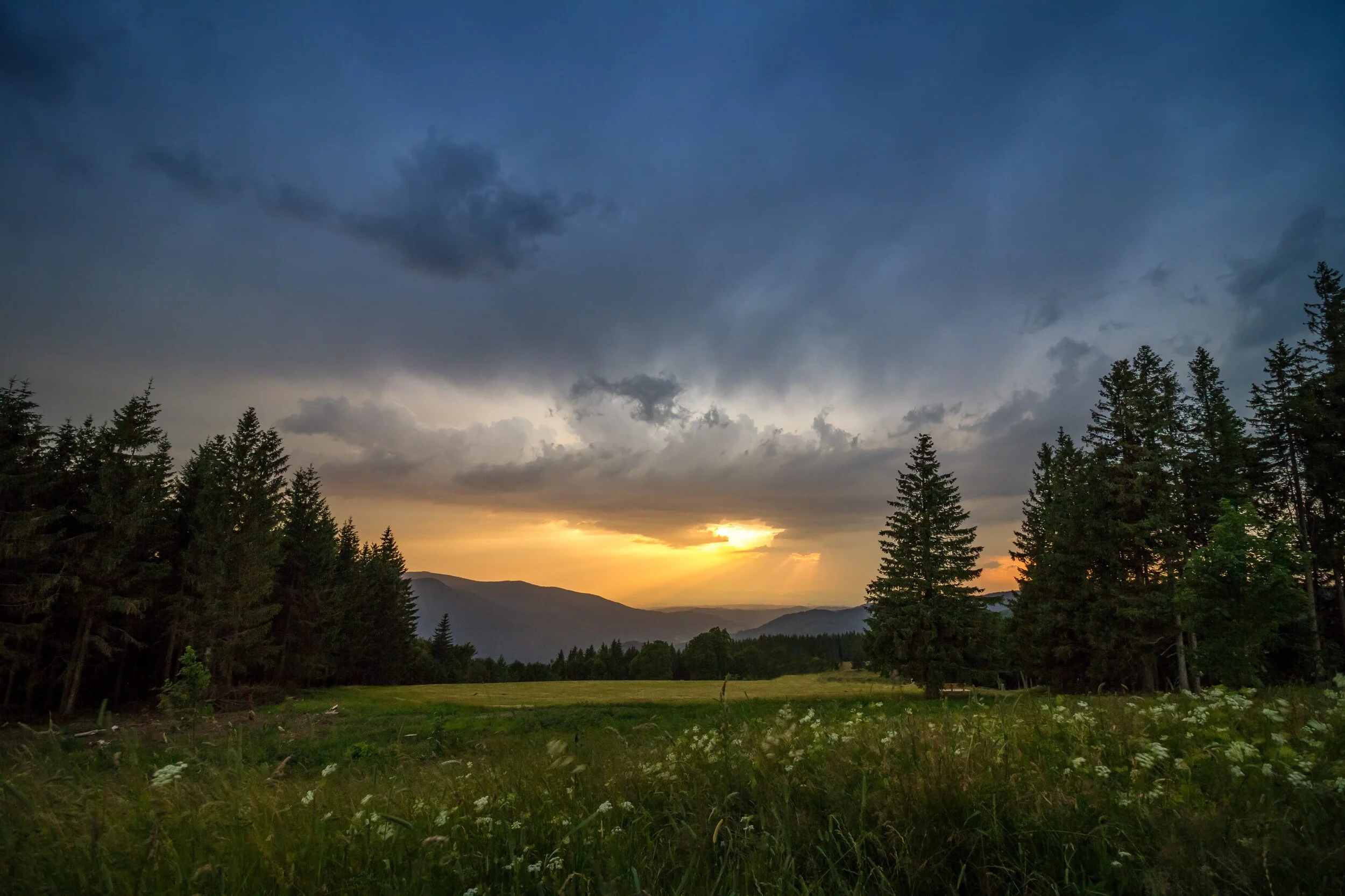 Pasture Mountain Field small.jpg