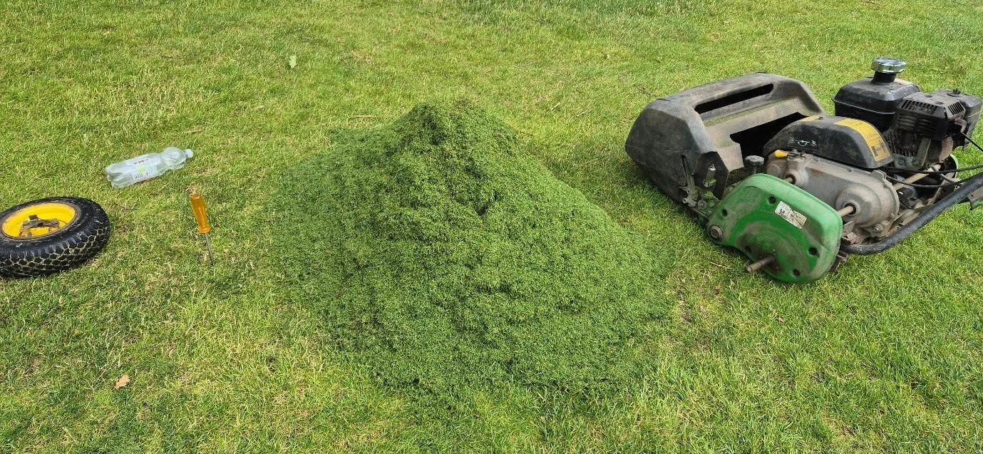 Greens Update - June 2026