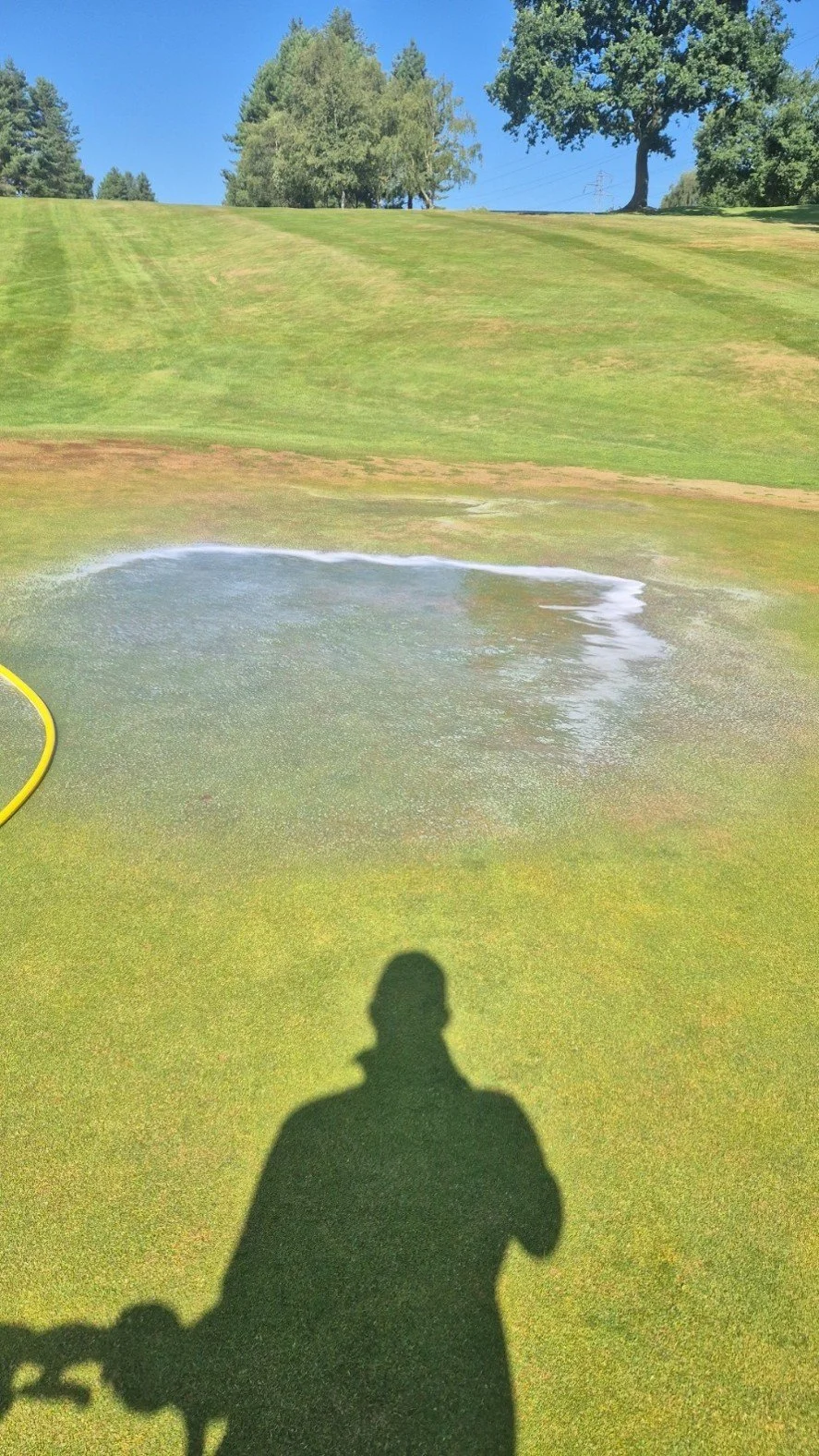 Greens Update - July 26
