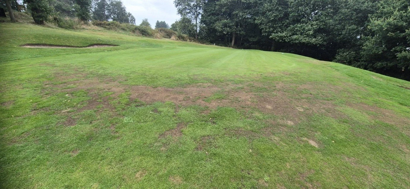 Greens Update - Aug 26