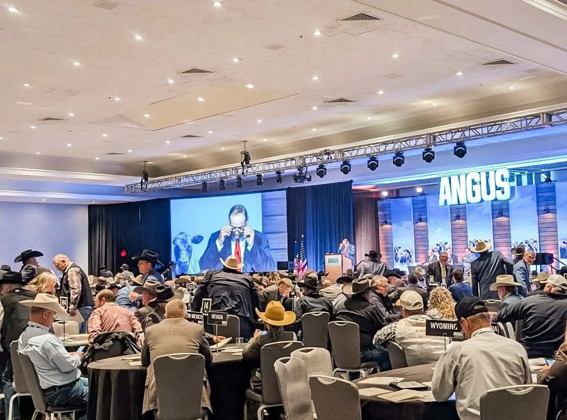 Hey ladies, don&rsquo;t be afraid to take a seat at the table, speak your mind, and wear that yellow hat proudly... you&rsquo;ve earned it.💛