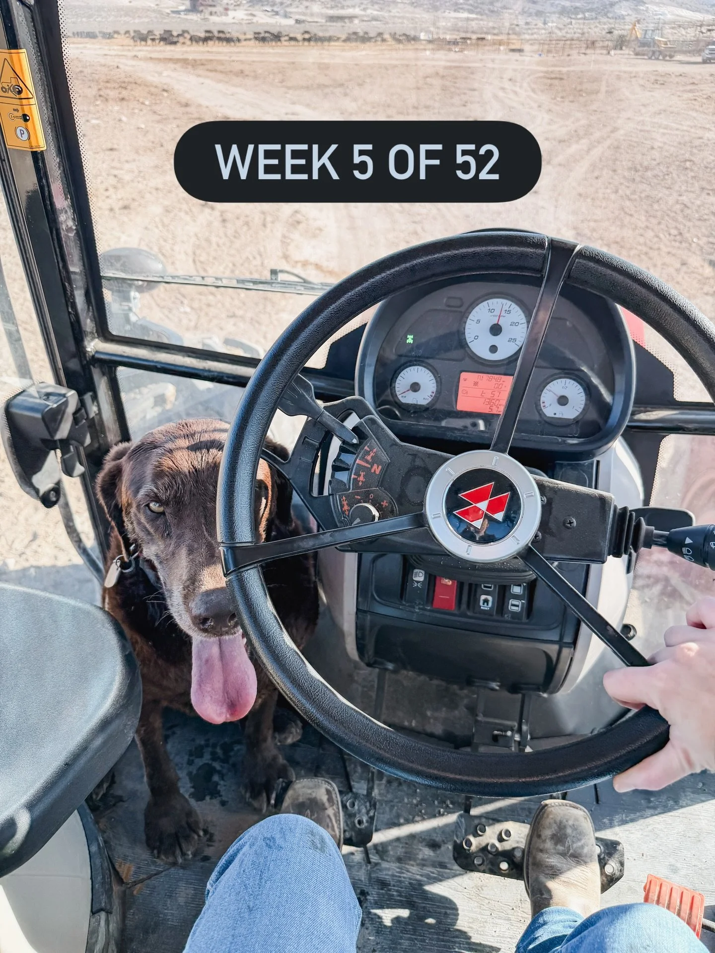 Week 5 of 52 🤍
Snapshots of my ranch life and a surprise visit from a dear friend. Just the week as it happened.
Thanks for following along. 🫶