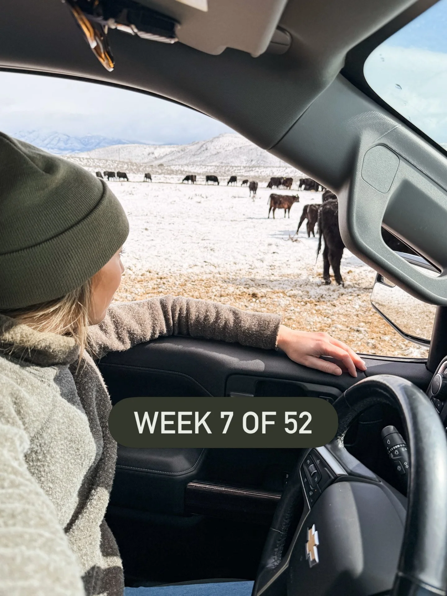 Week 7 of 52 🤍
A whole lot of cows and a whole lot of snow. Just the week as it happened.
Thanks for following along. 🫶