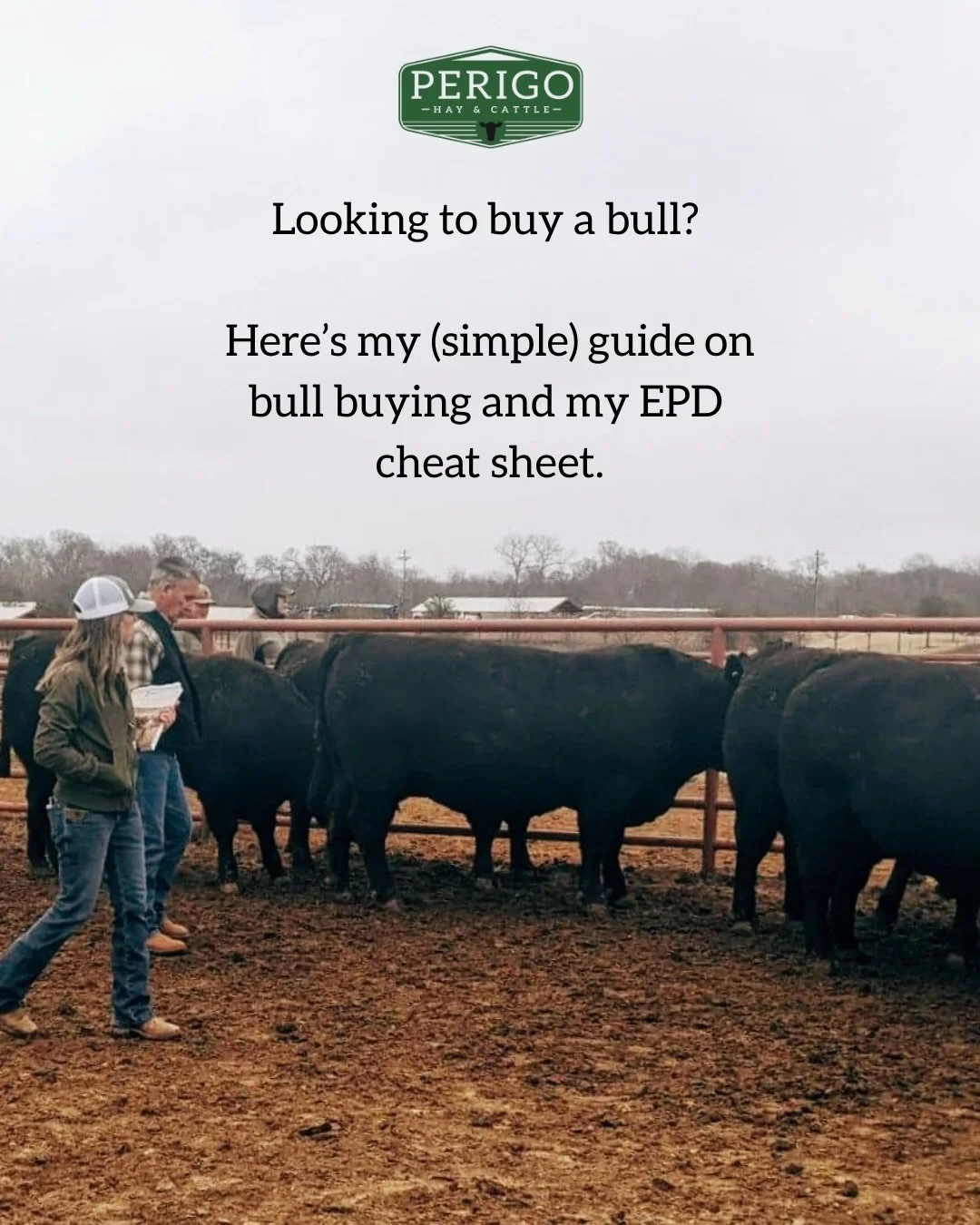 Buying a bull shouldn&rsquo;t feel like taking a math test. 🐮📊

EPDs (Expected Progeny Differences) are tools that help predict how a bull&rsquo;s calves will perform &mdash;

Out here in the high-elevation desert of Nevada, we prioritize cattle th