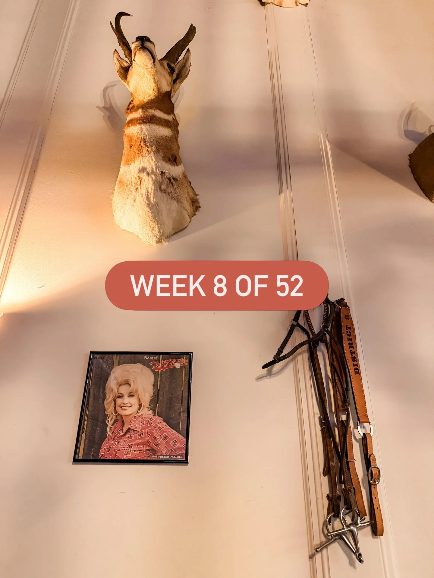 Week 8 of 52 🤍
Texas for a few days &mdash; my best friend, a concert, a new bull, good food, a little shopping, and memories I&rsquo;ll hold onto. 
Just the week as it happened.
Thanks for following along. 🫶