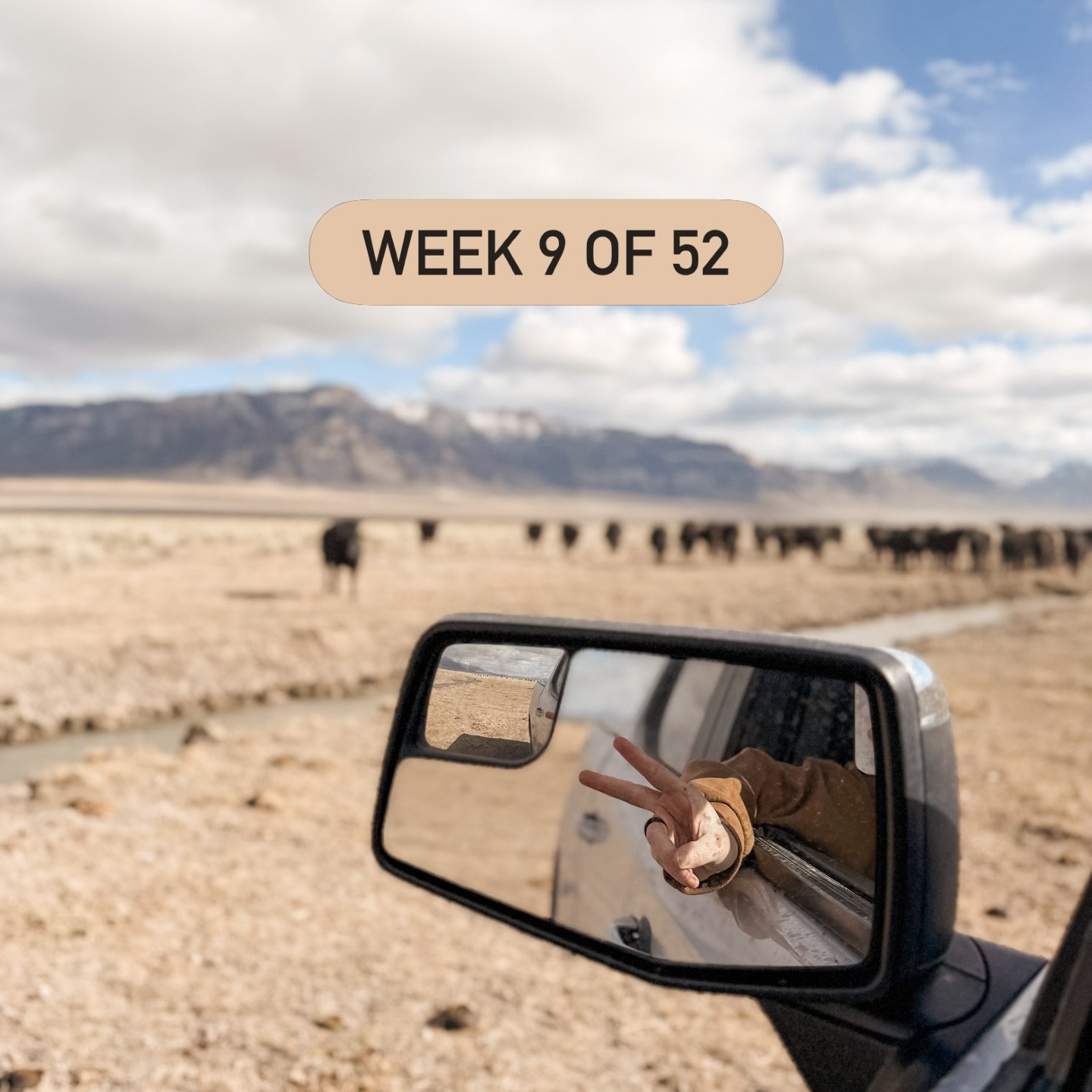Week 9 of 52 🤍

I feel like these photo dumps are coming around more quickly &mdash; spring calves are hitting the ground, my old ranch dog is living her best life, steak for Grandma&rsquo;s 87th birthday per her request. 
Just the week as it happen