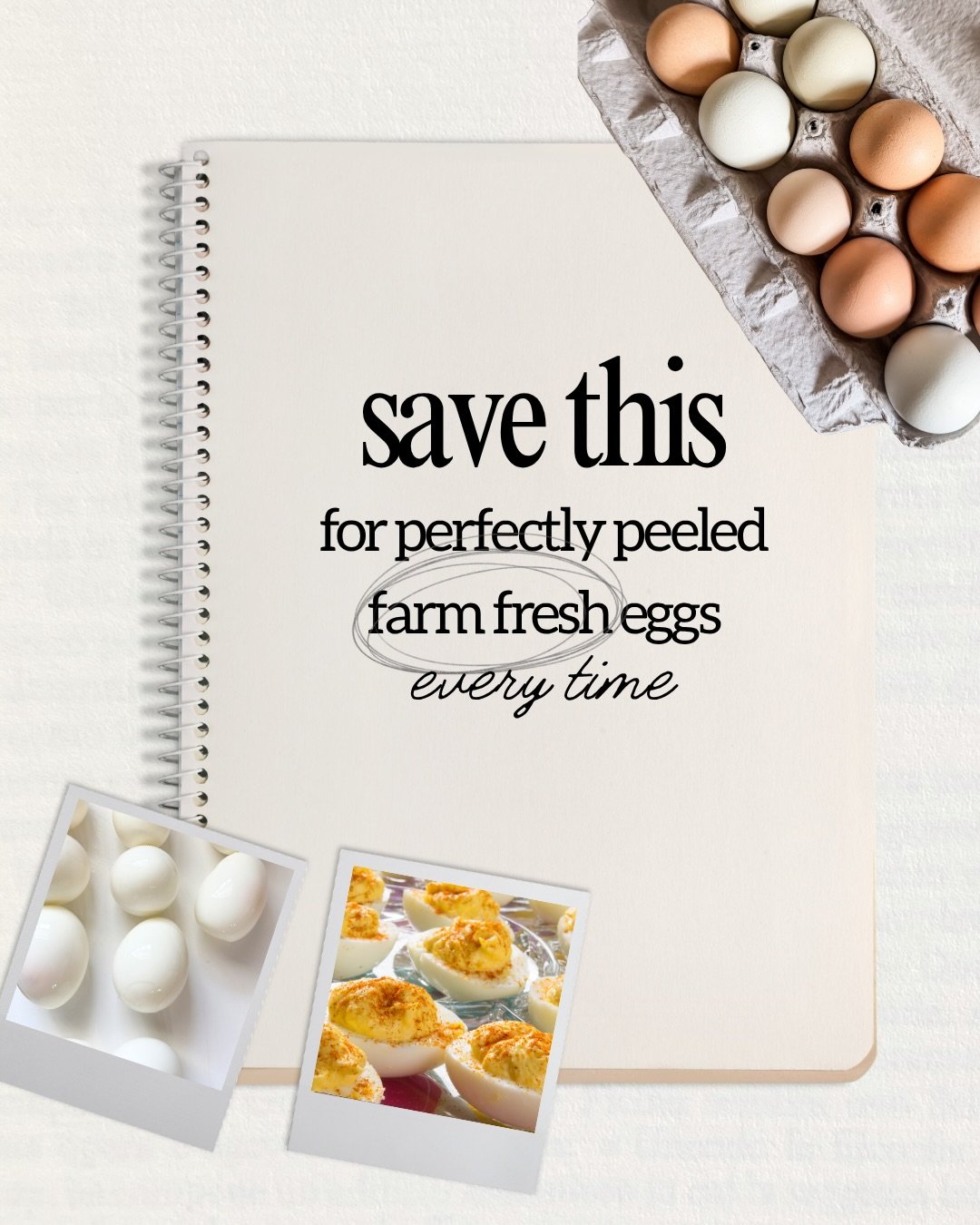 Not my typical post 🙈 but I always struggled making deviled eggs using farm fresh eggs. 

I wanted to make some for Easter, so I asked ChatGPT for tips and tricks&hellip; and it worked! So I&rsquo;m sharing the knowledge. 😊

#recipe #appetizers #ti