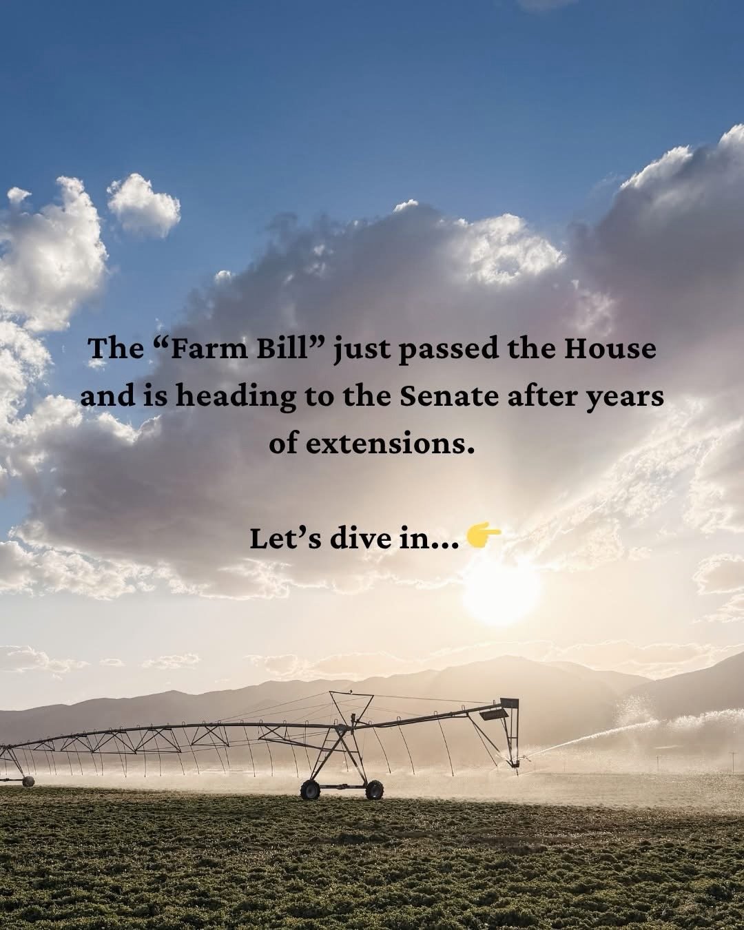 The Farm Bill affects a lot more than most people realize.

It impacts:
&bull; food prices
&bull; drought assistance
&bull; crop insurance
&bull; conservation programs
&bull; disaster relief
&bull; livestock producers
&bull; rural communities
&bull; 