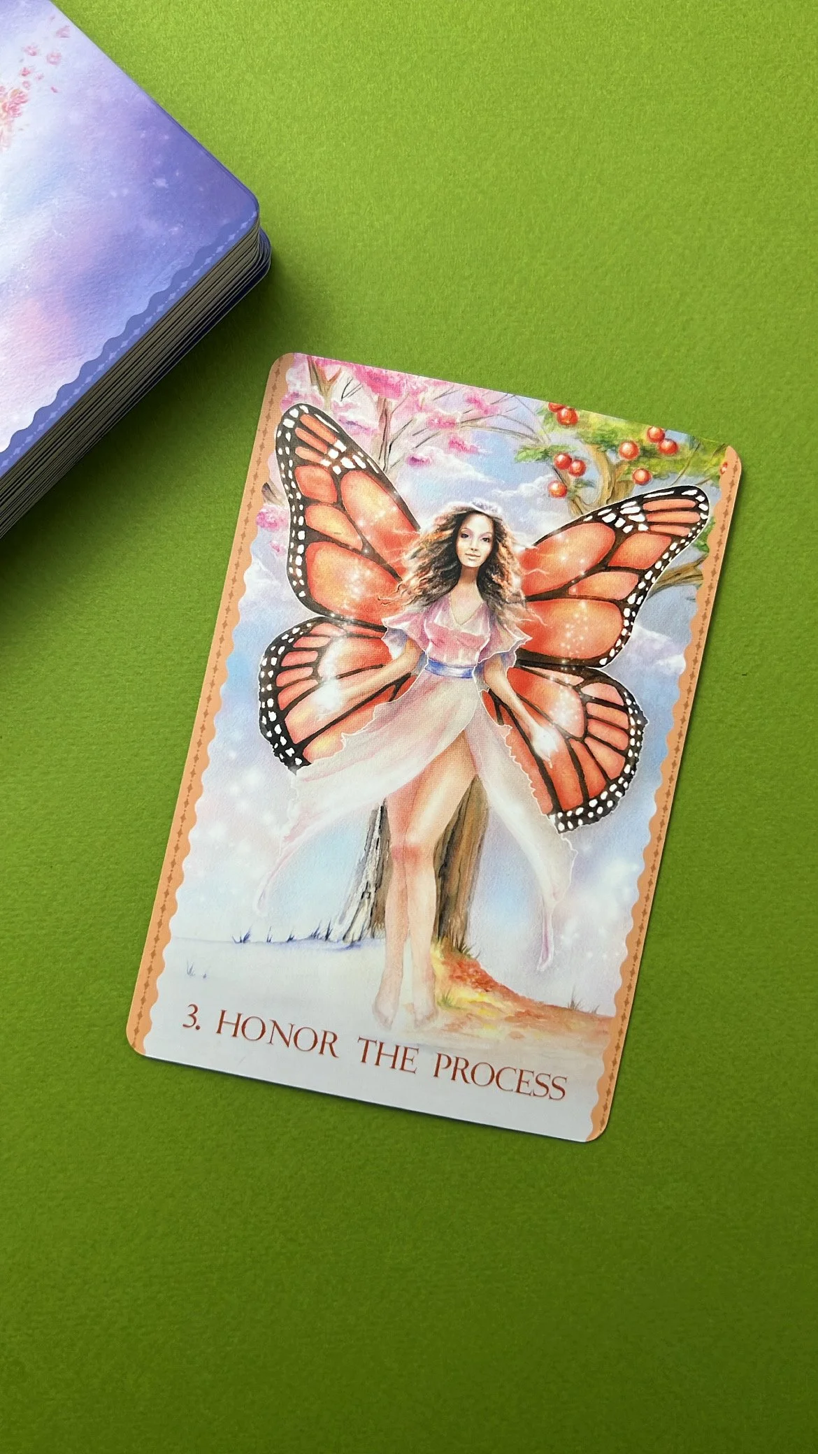 30 Minute Private Session