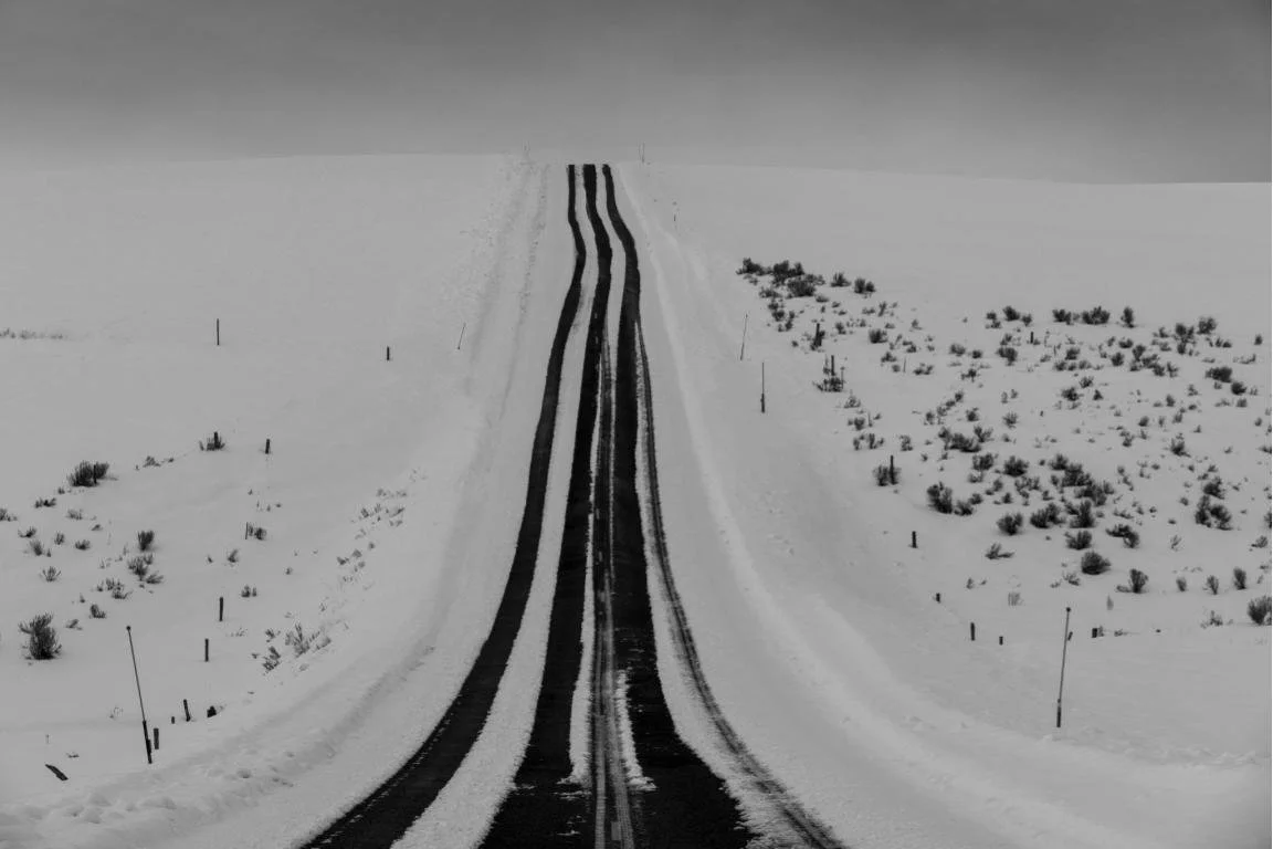 Mild winter by Natalie Behring  (14).jpg