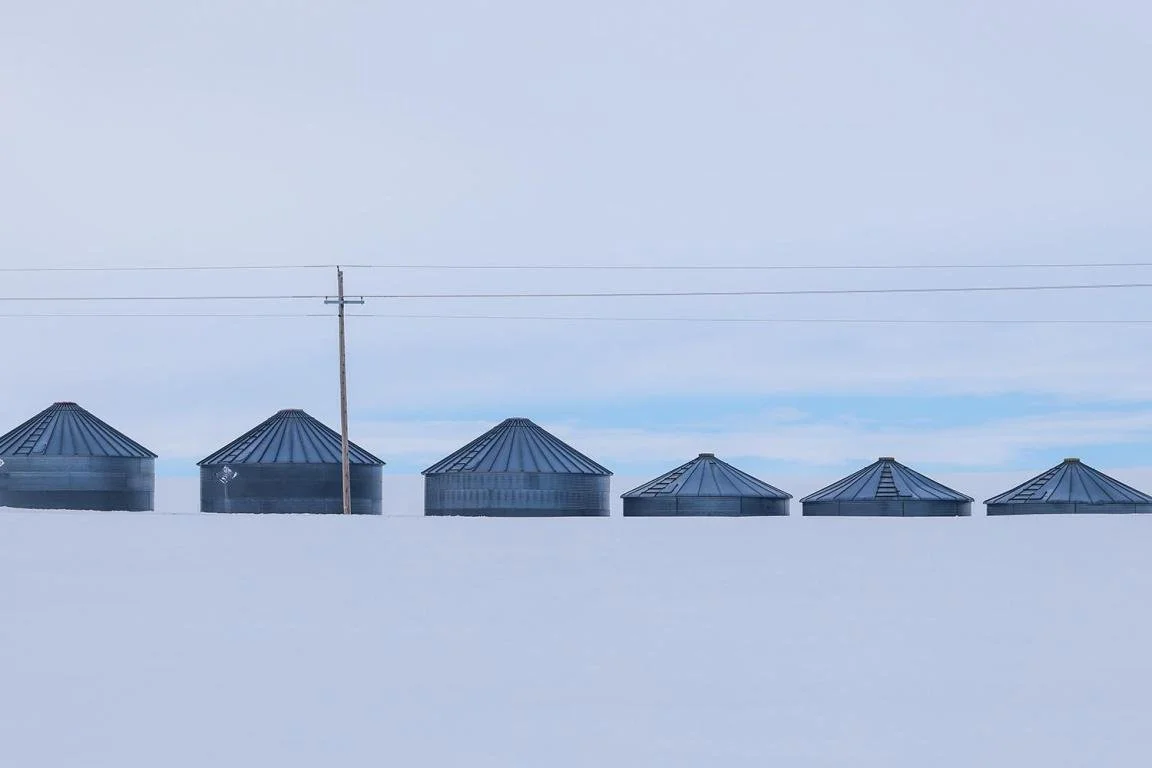 Mild winter by Natalie Behring  (2).jpg