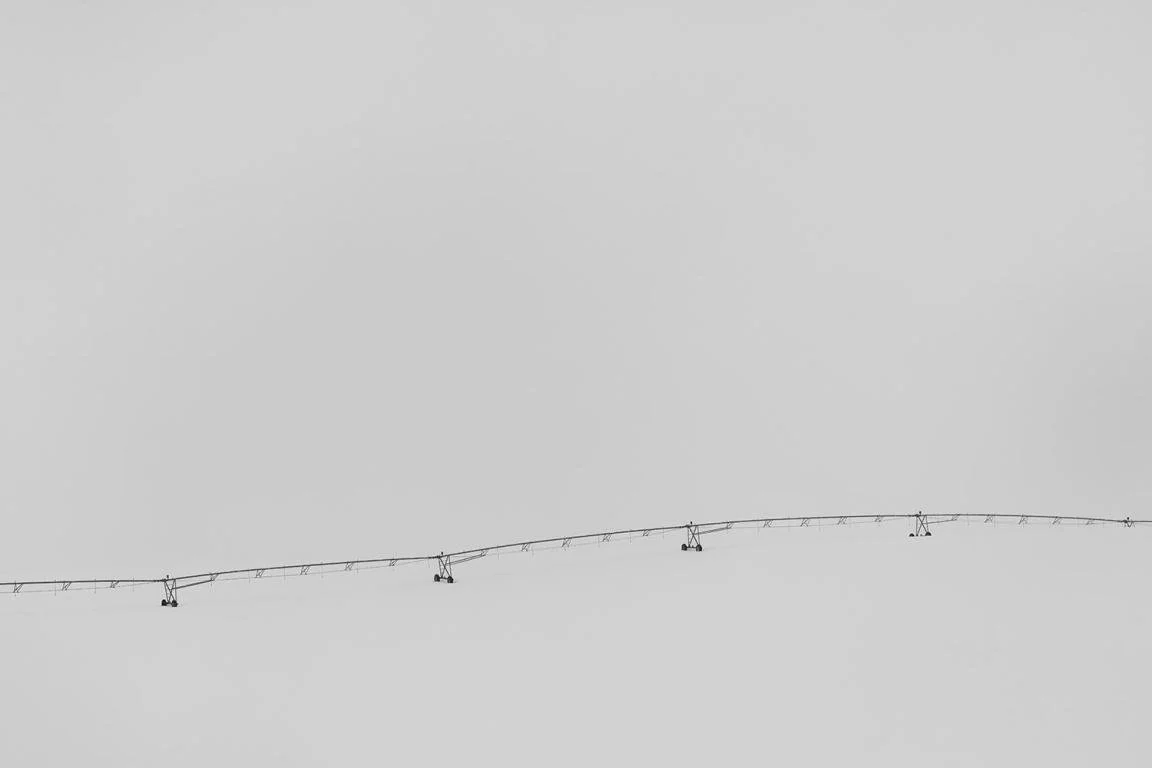 Mild winter by Natalie Behring .jpg