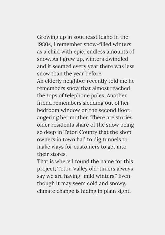 Mild winter by Natalie Behring  (17).jpg