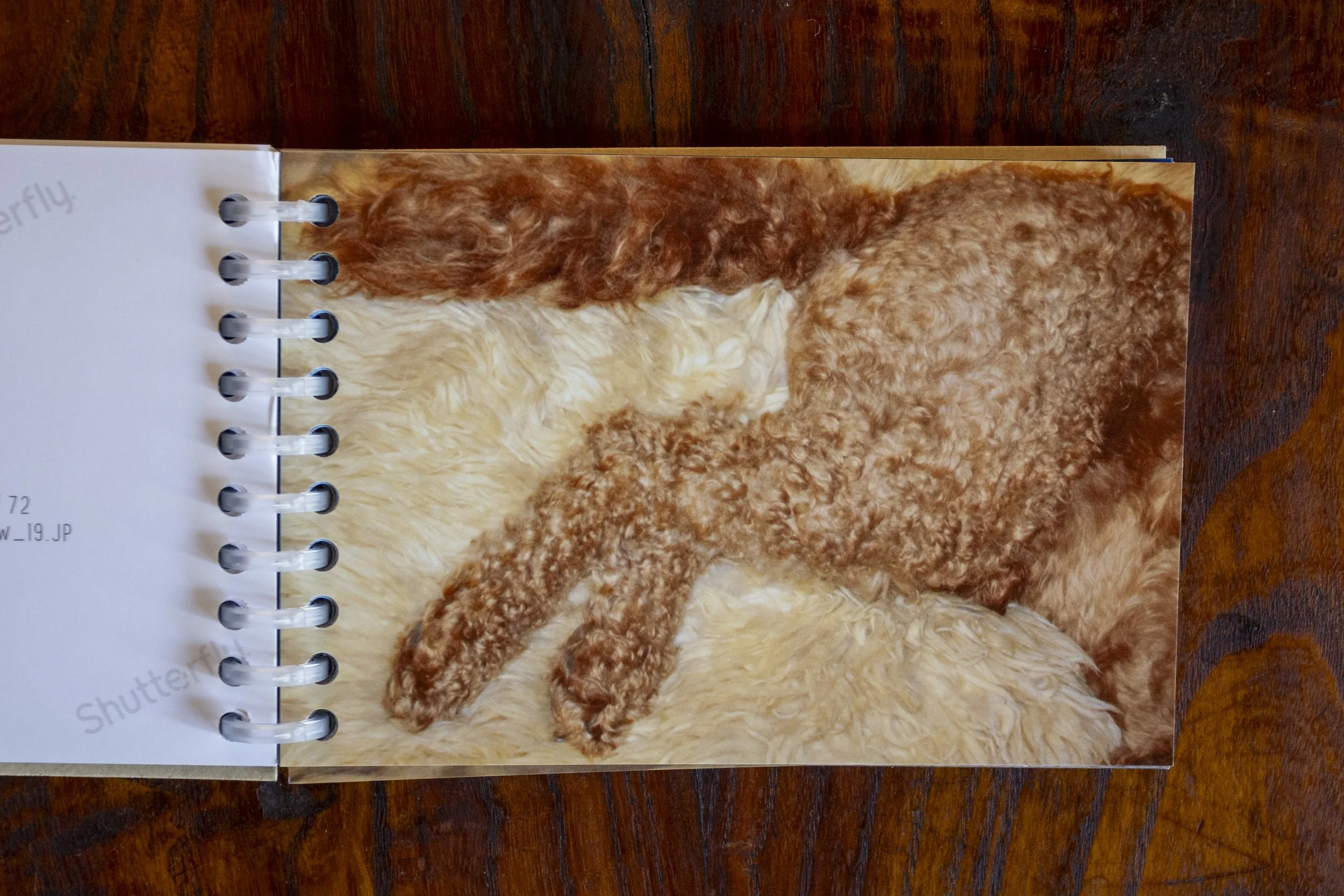 20230815 4hNBB_1080.JPG