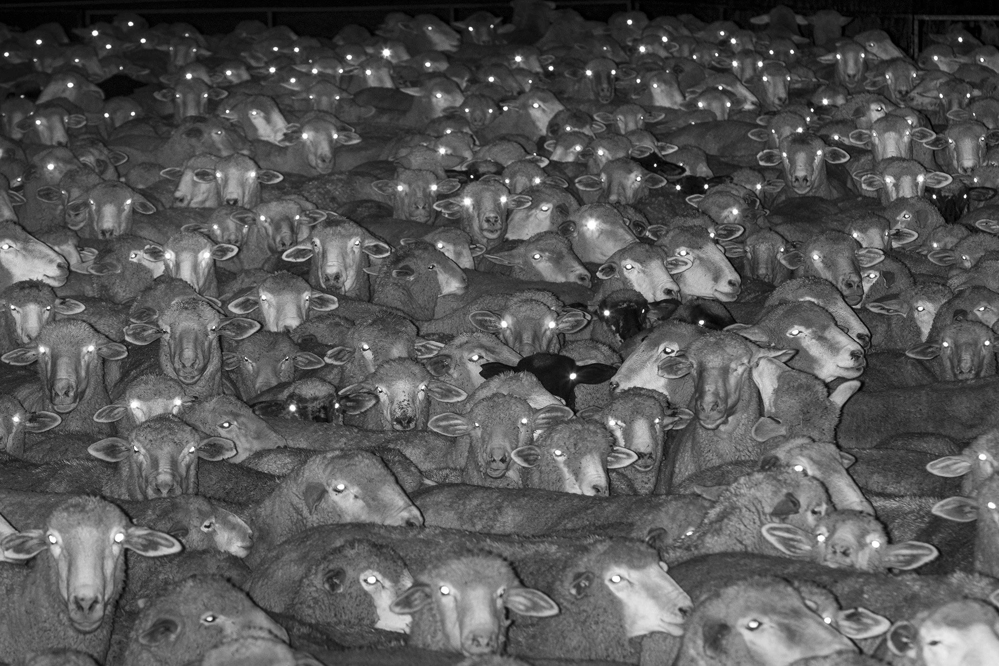 Chloroform in Print _365.JPG