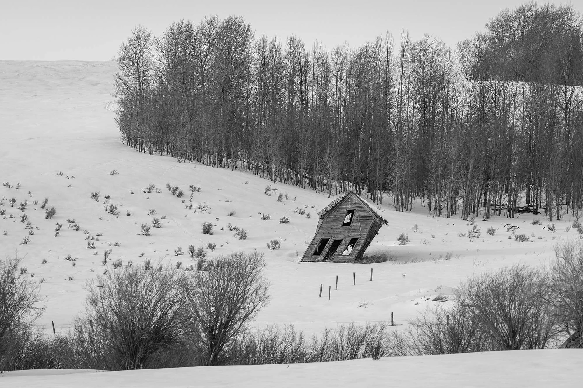 idaho winter_print.jpg