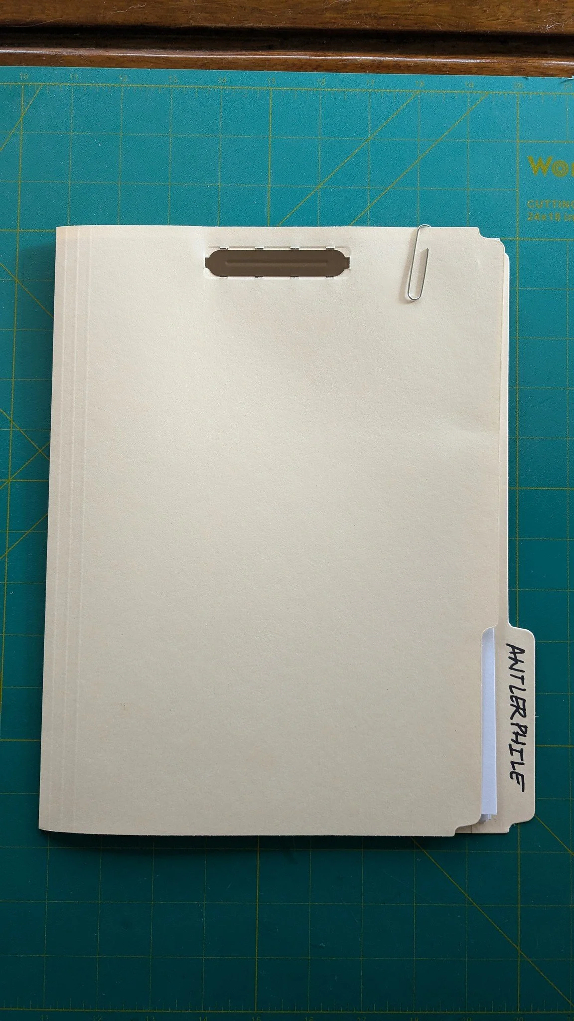 53988708478_440b7642e4_k.jpg