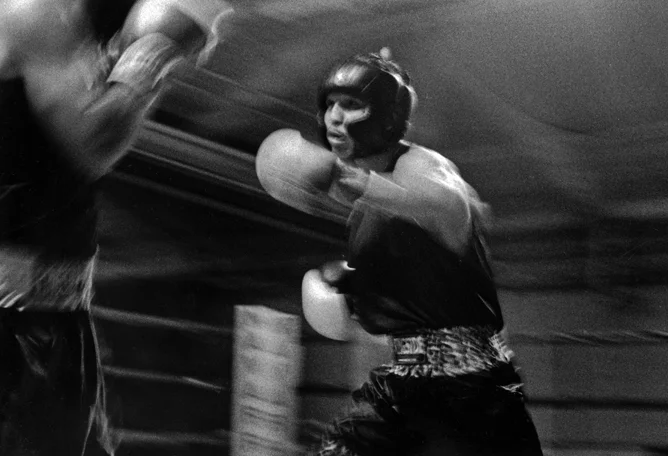boxing — Steve Molnar Photography