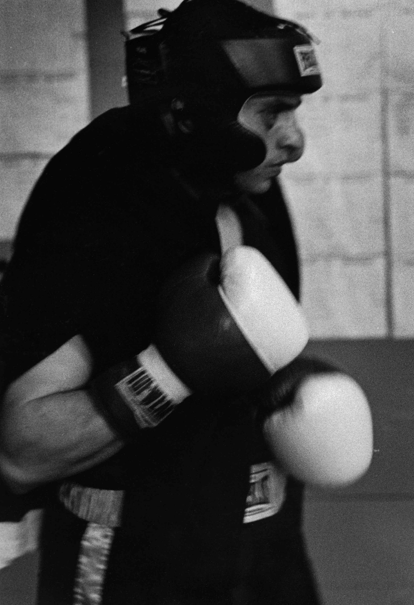 boxing — Steve Molnar Photography