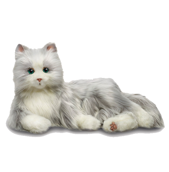 cat.png