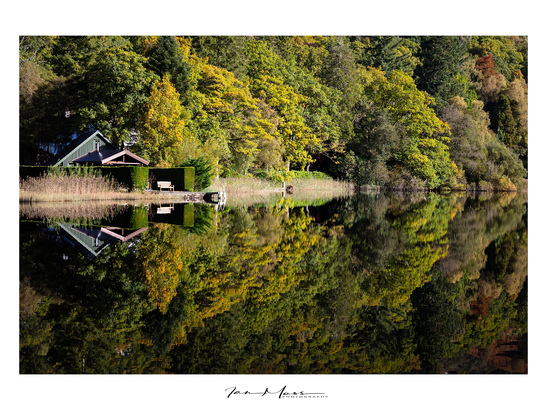 Reflections - QEFP - 2