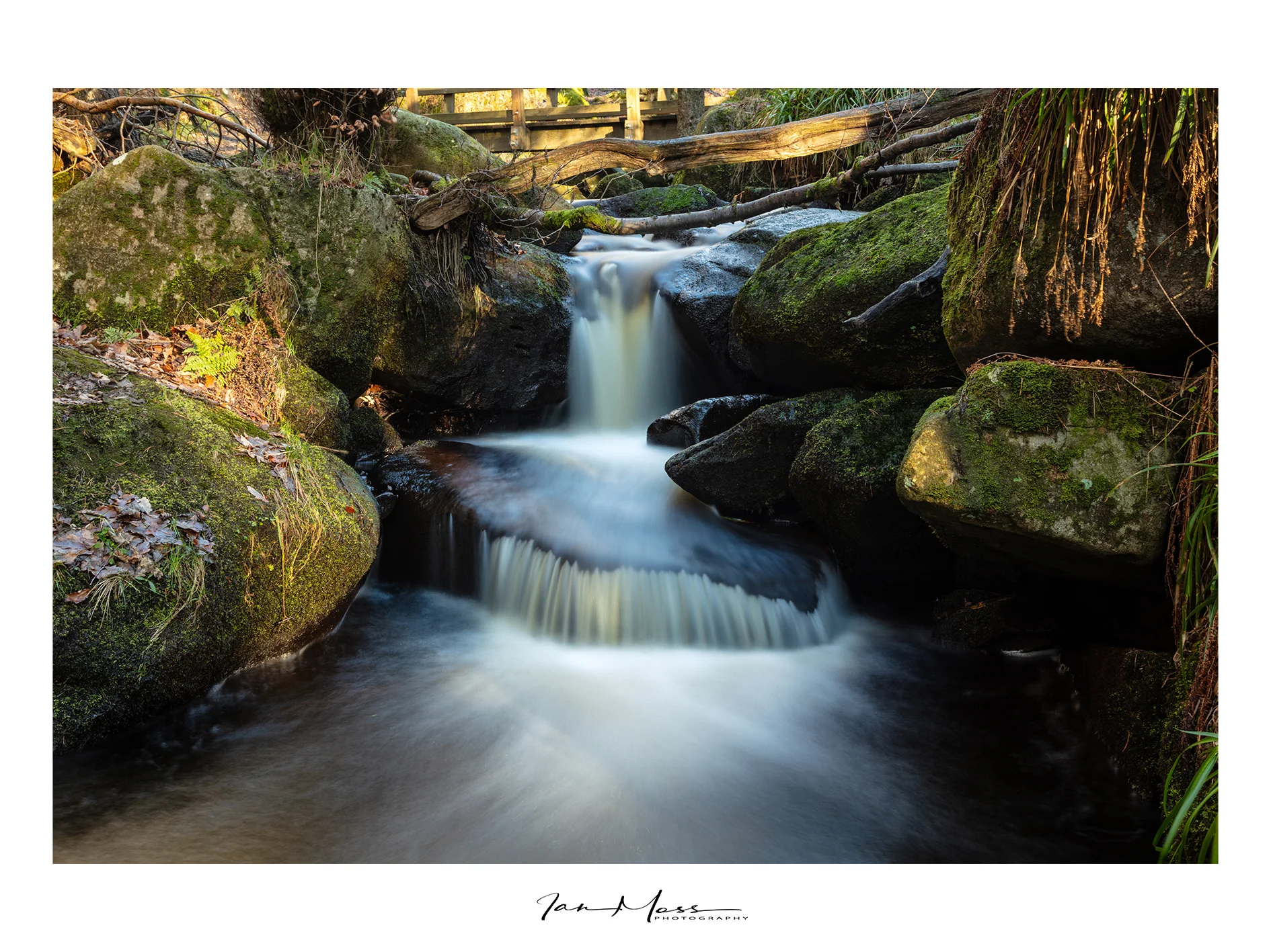 Derbyshire - 17012019-5.jpg